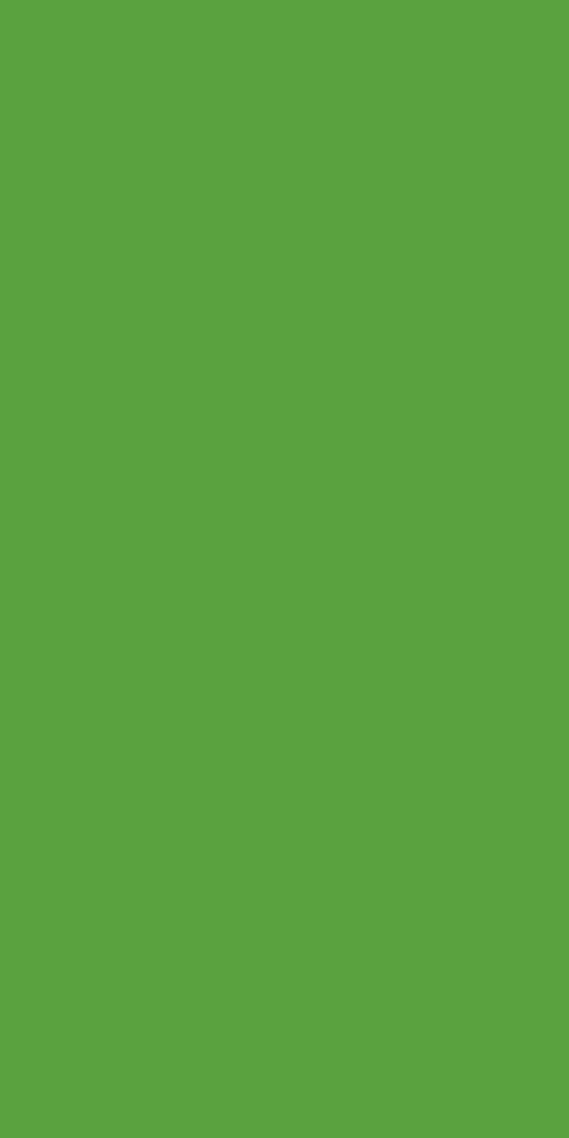 TH 011 G - Spring Green Glossy.jpg