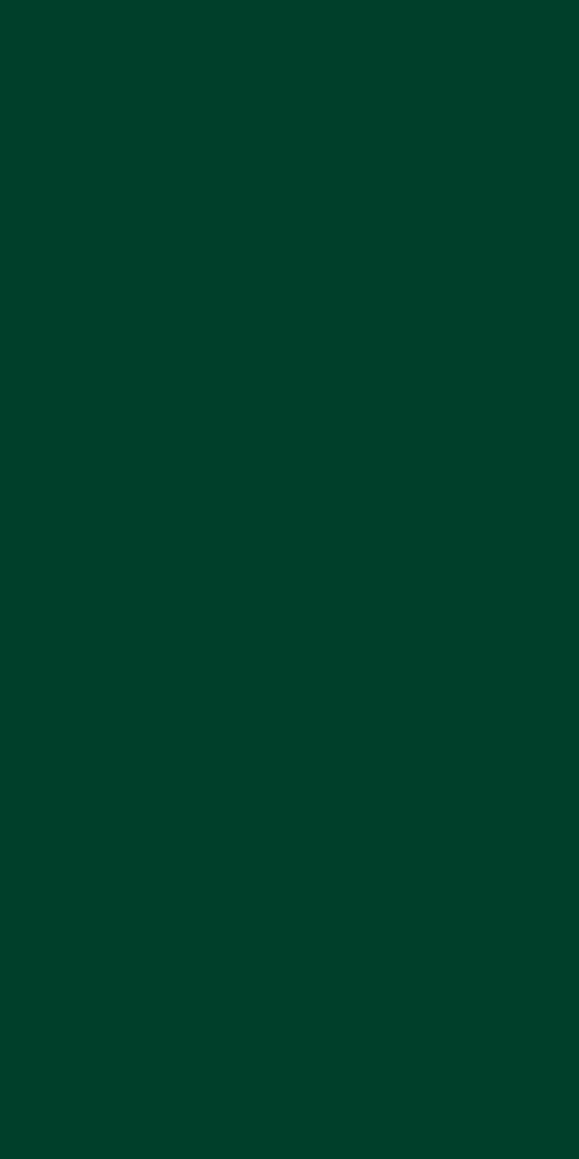 TH 025 AA - Dark Green.jpg
