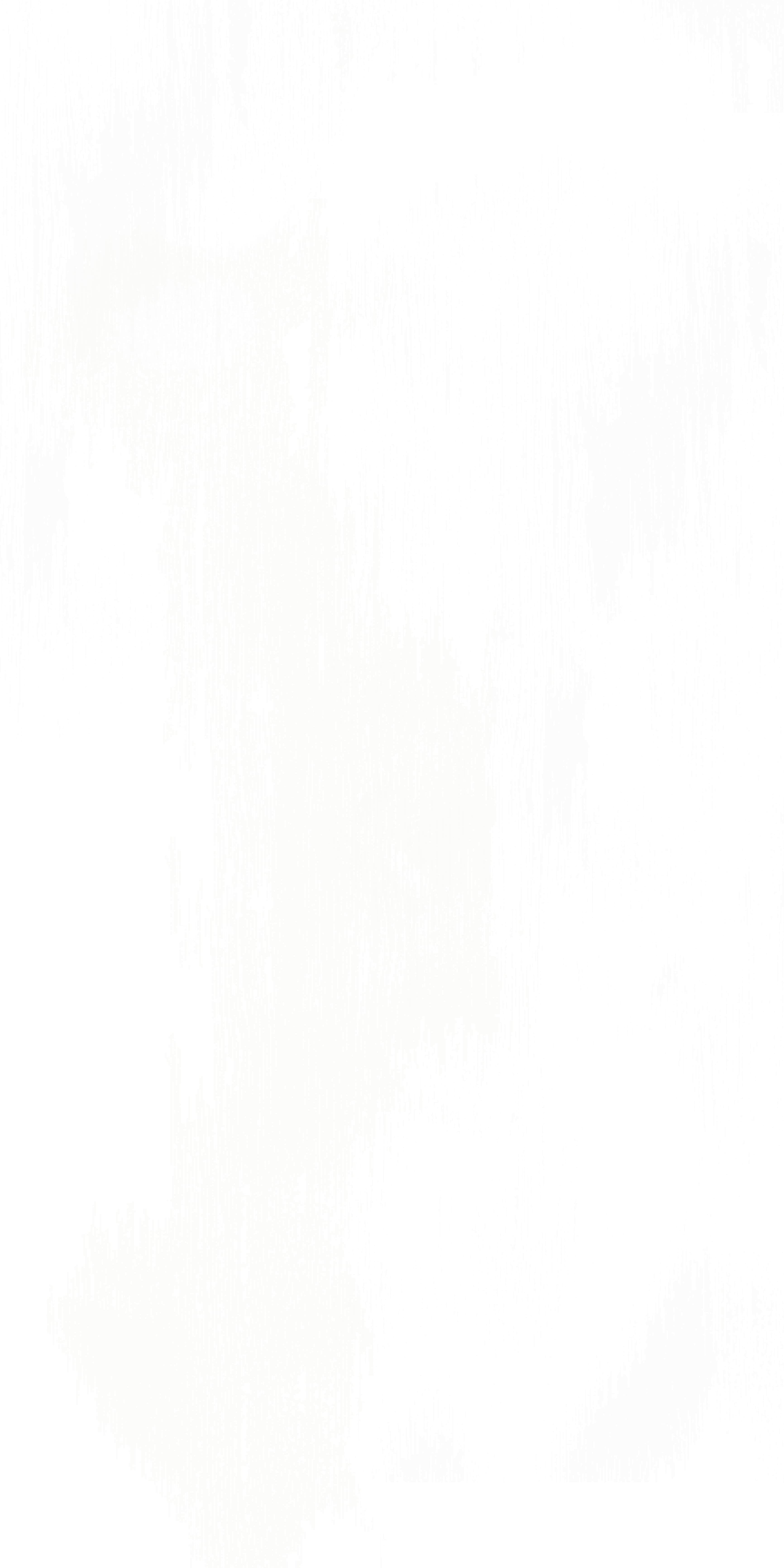 TH 02 KY - White Woodgrain.jpg