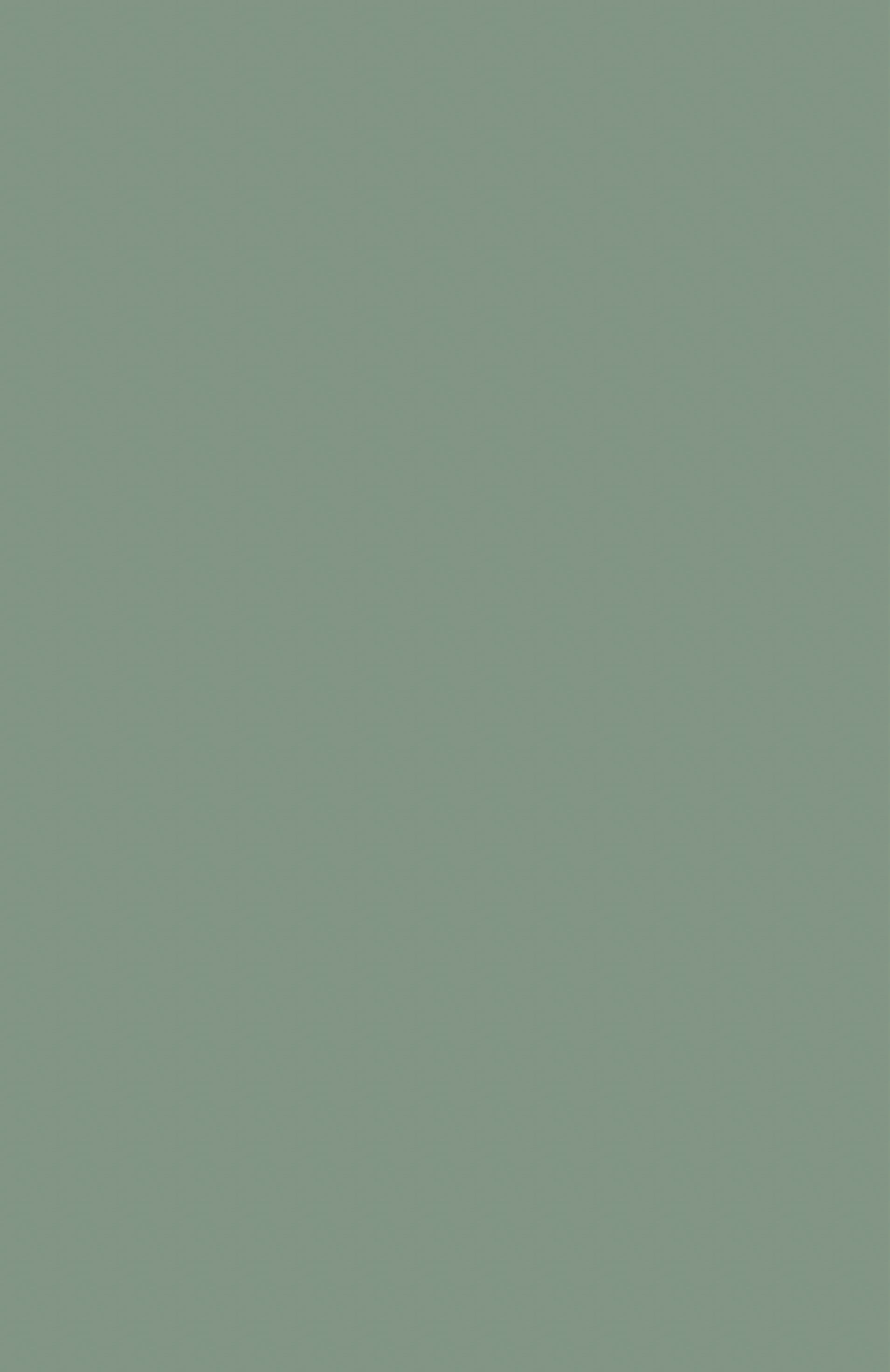 TH 069 SA - Sea Salt.jpg