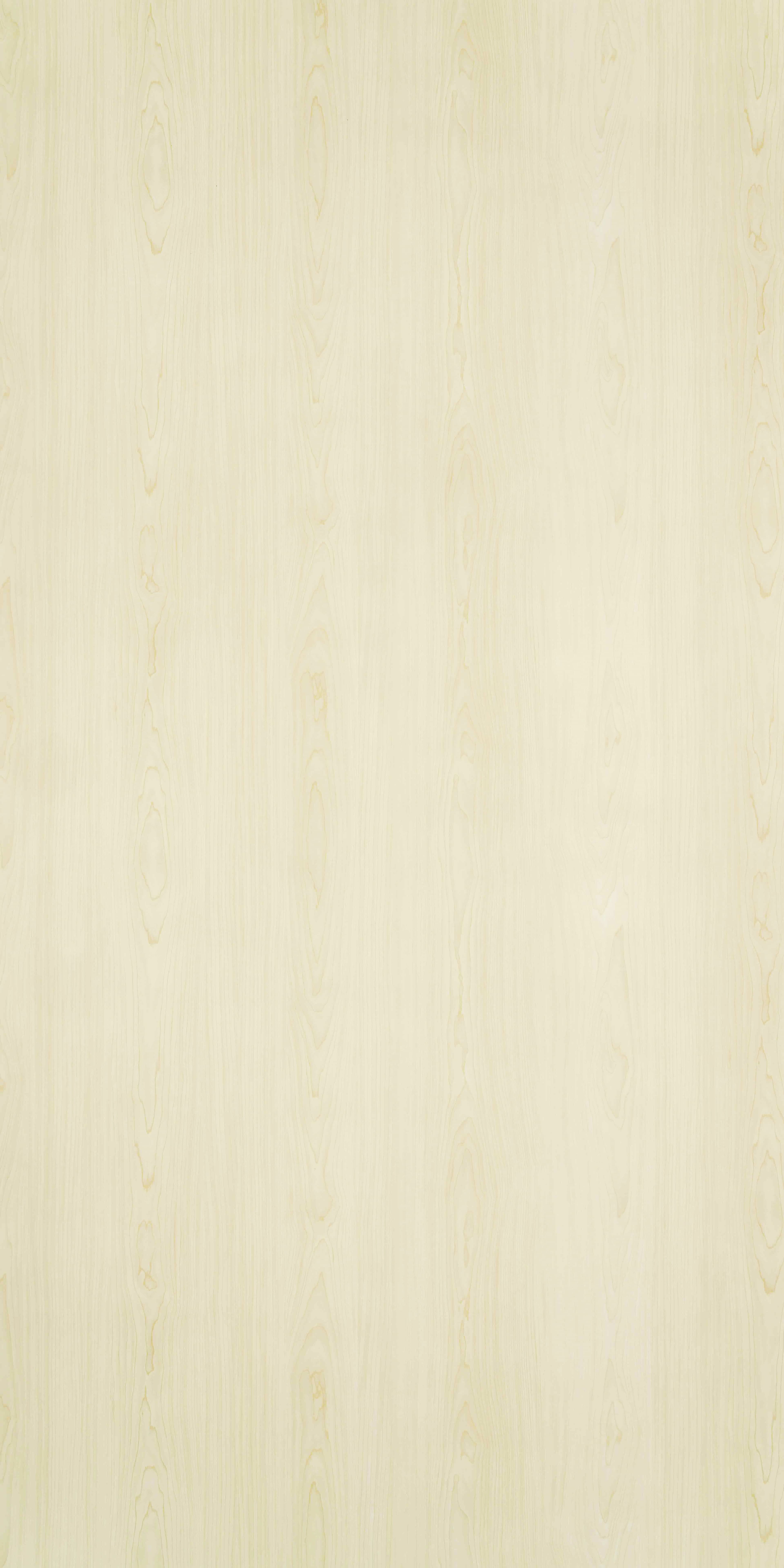 TH 100 AA - Winter Maple.jpg