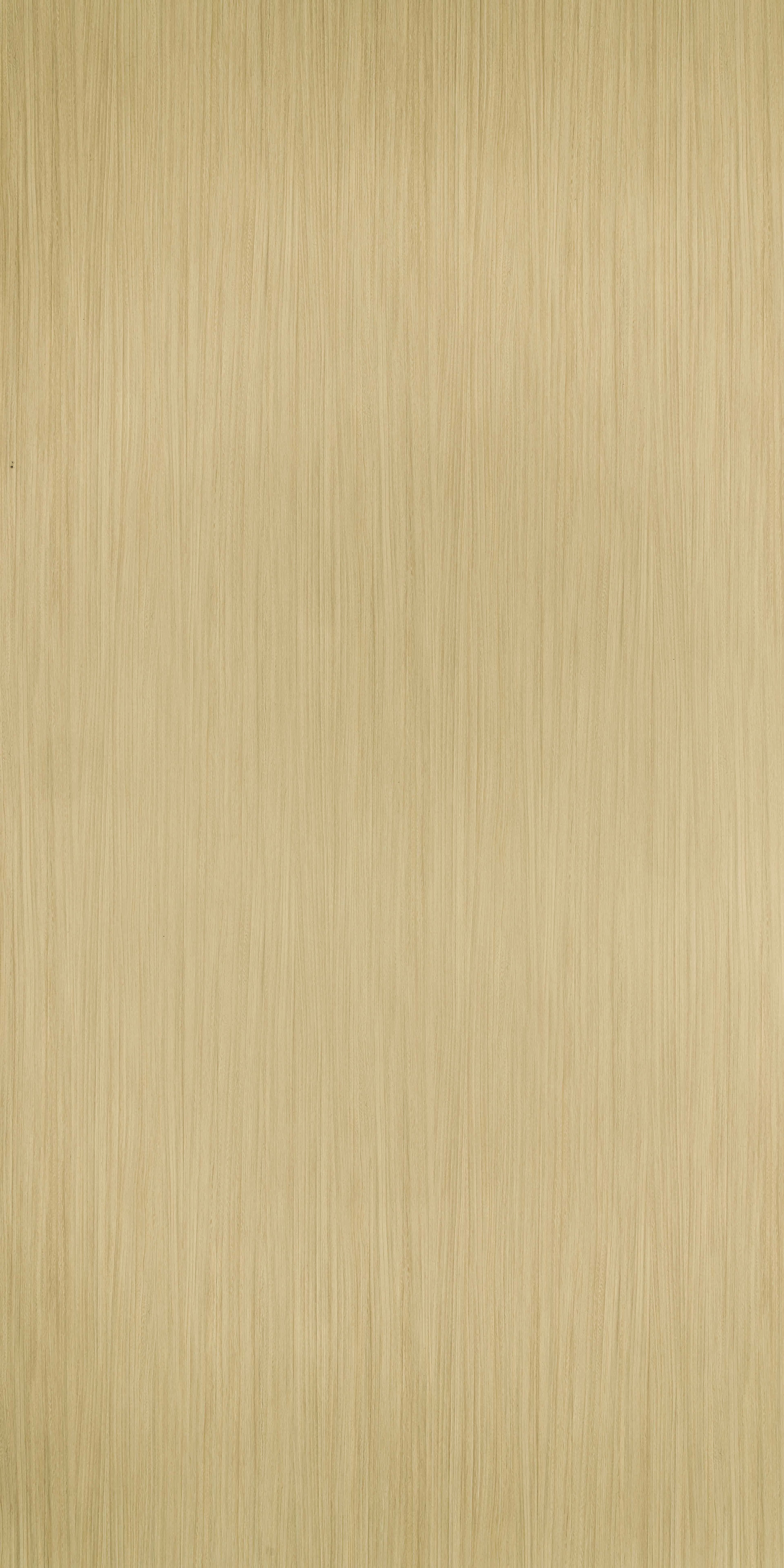 TH 111 NT - White Cherry.jpg