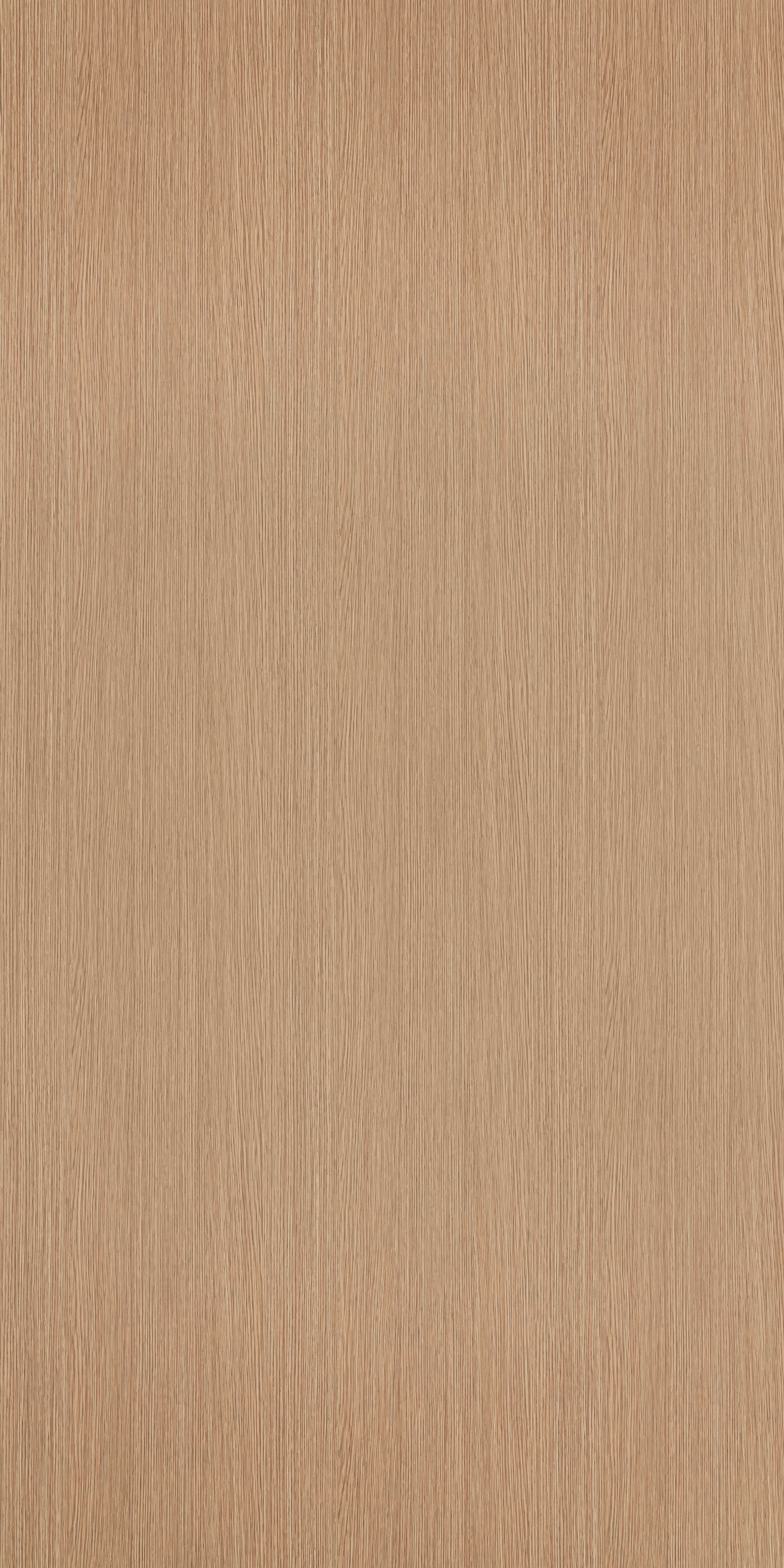TH 1203 FC - New Zealand Oak.jpg