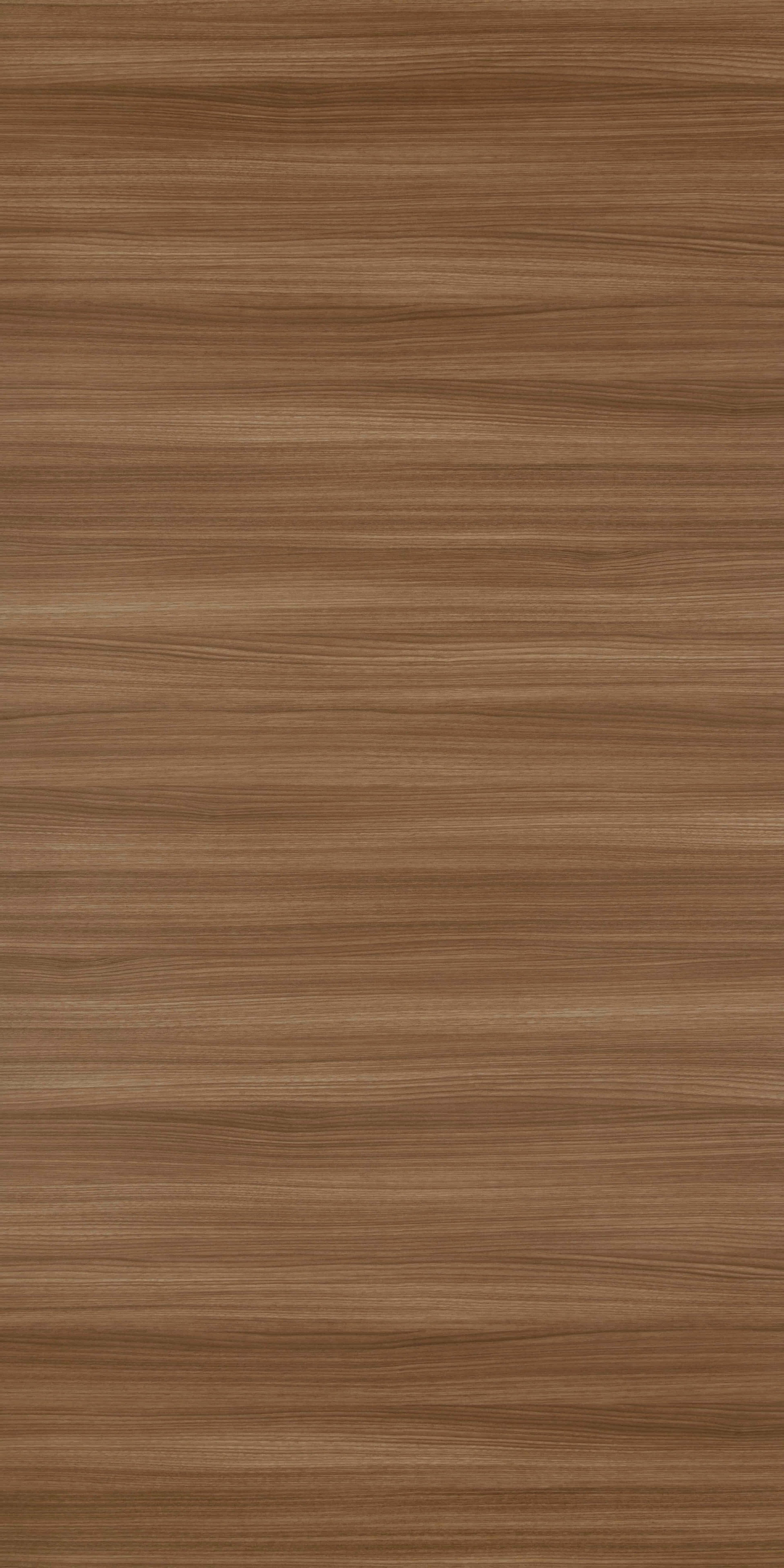 TH 1232 FC - Chocolate Sakura.jpg