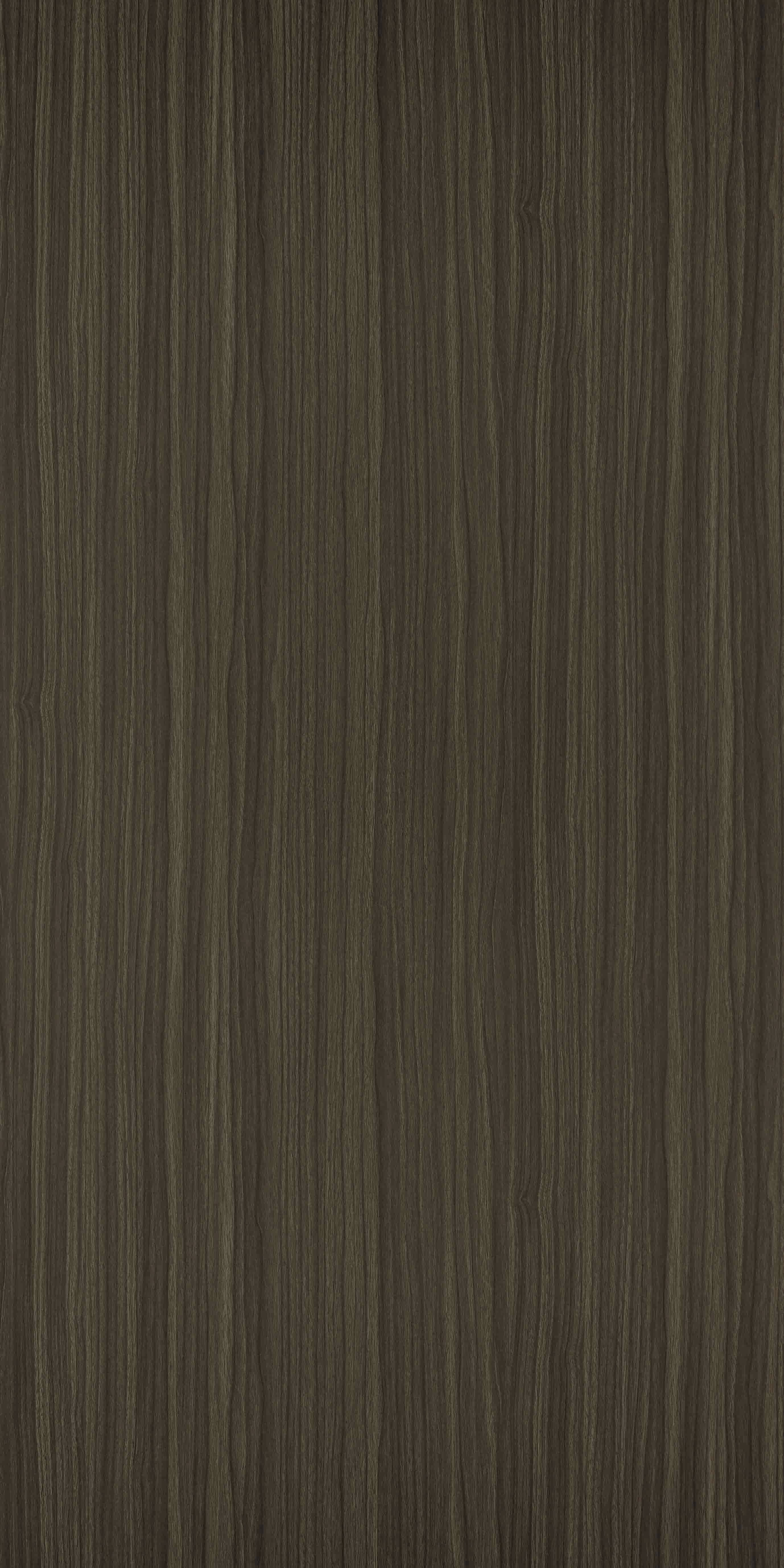 TH 252 B - Elm Wood.jpg