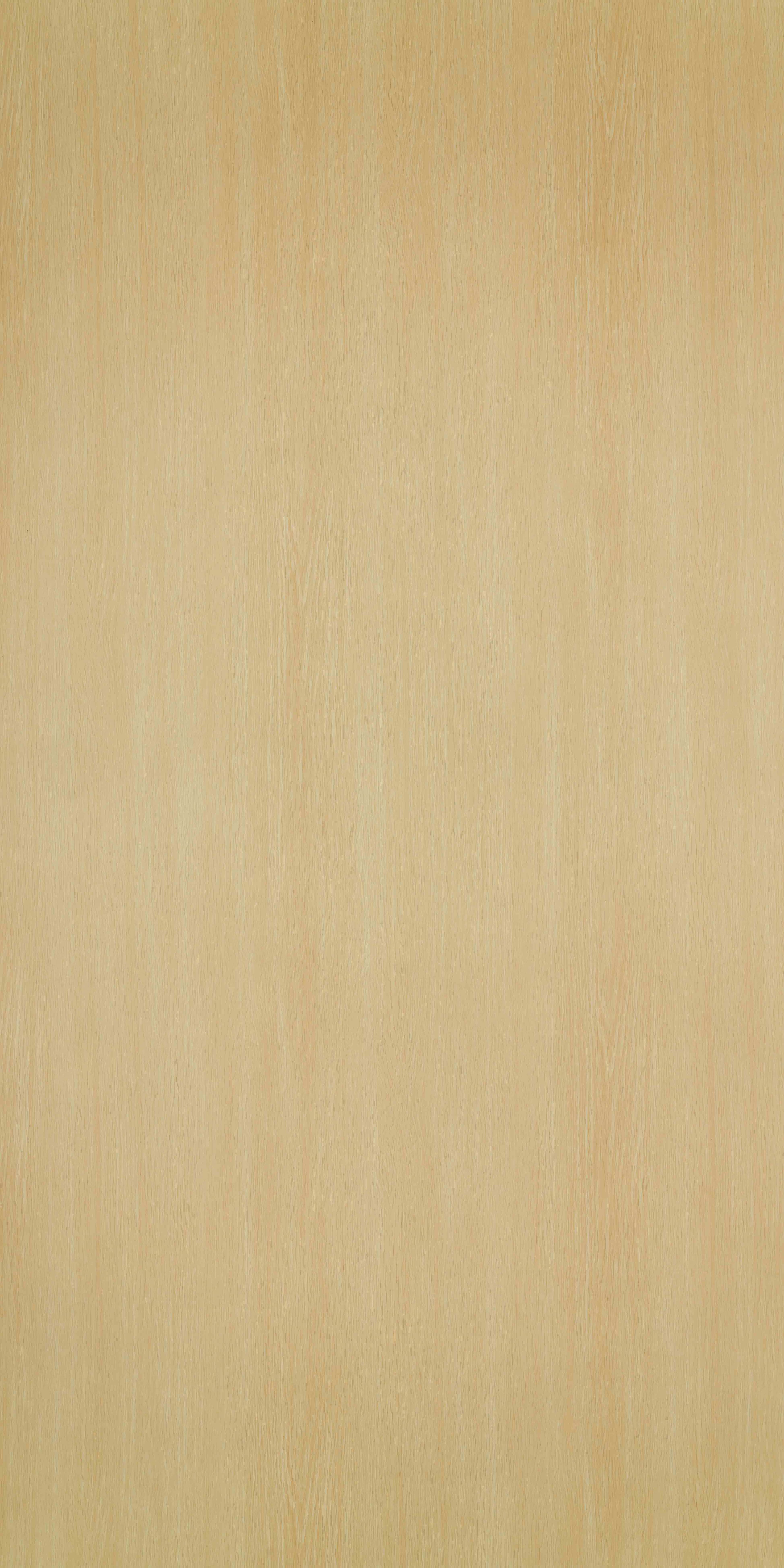 TH 261 B - White Oak.jpg