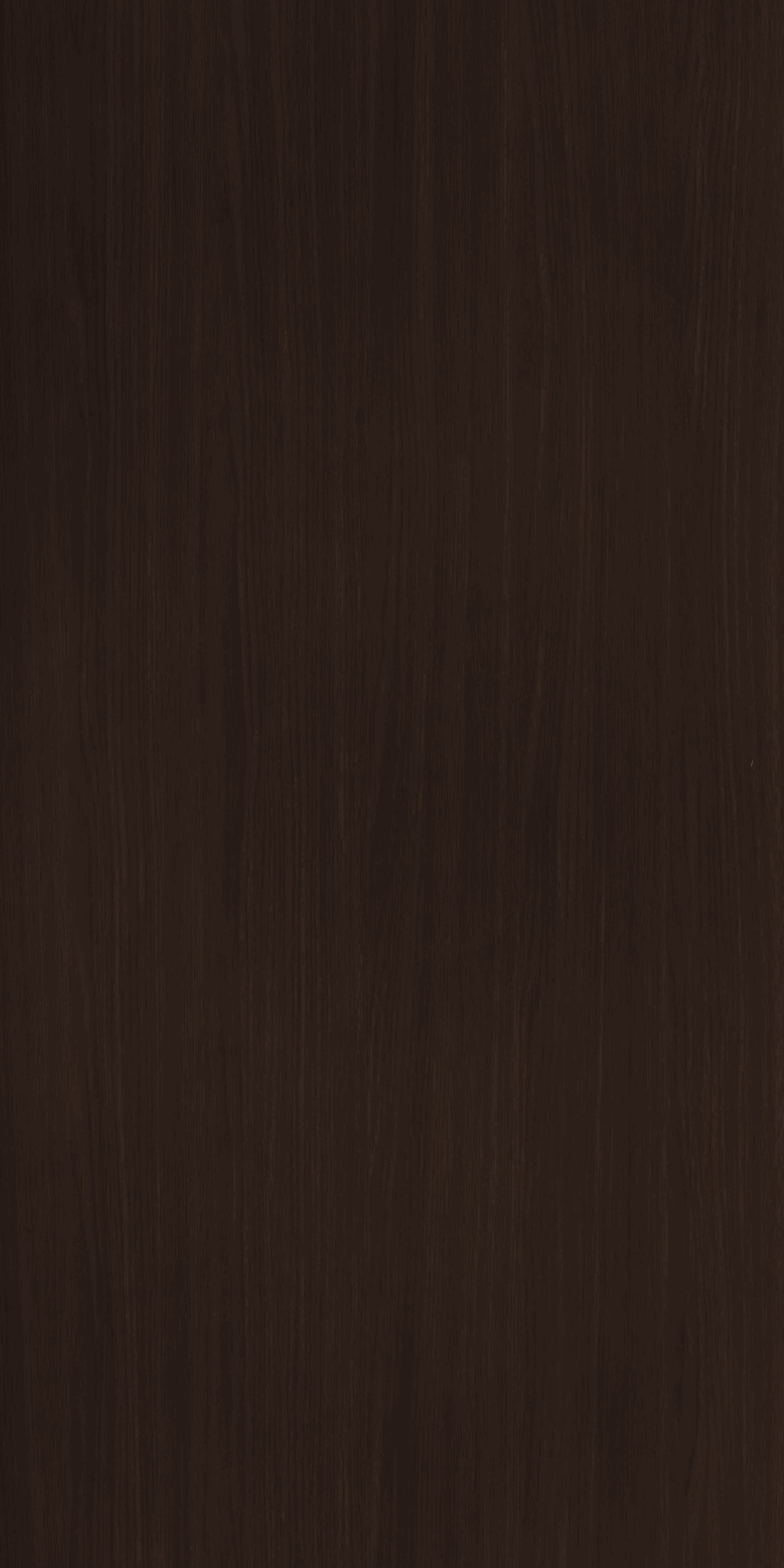 TH 262 B - Asian Oak.jpg