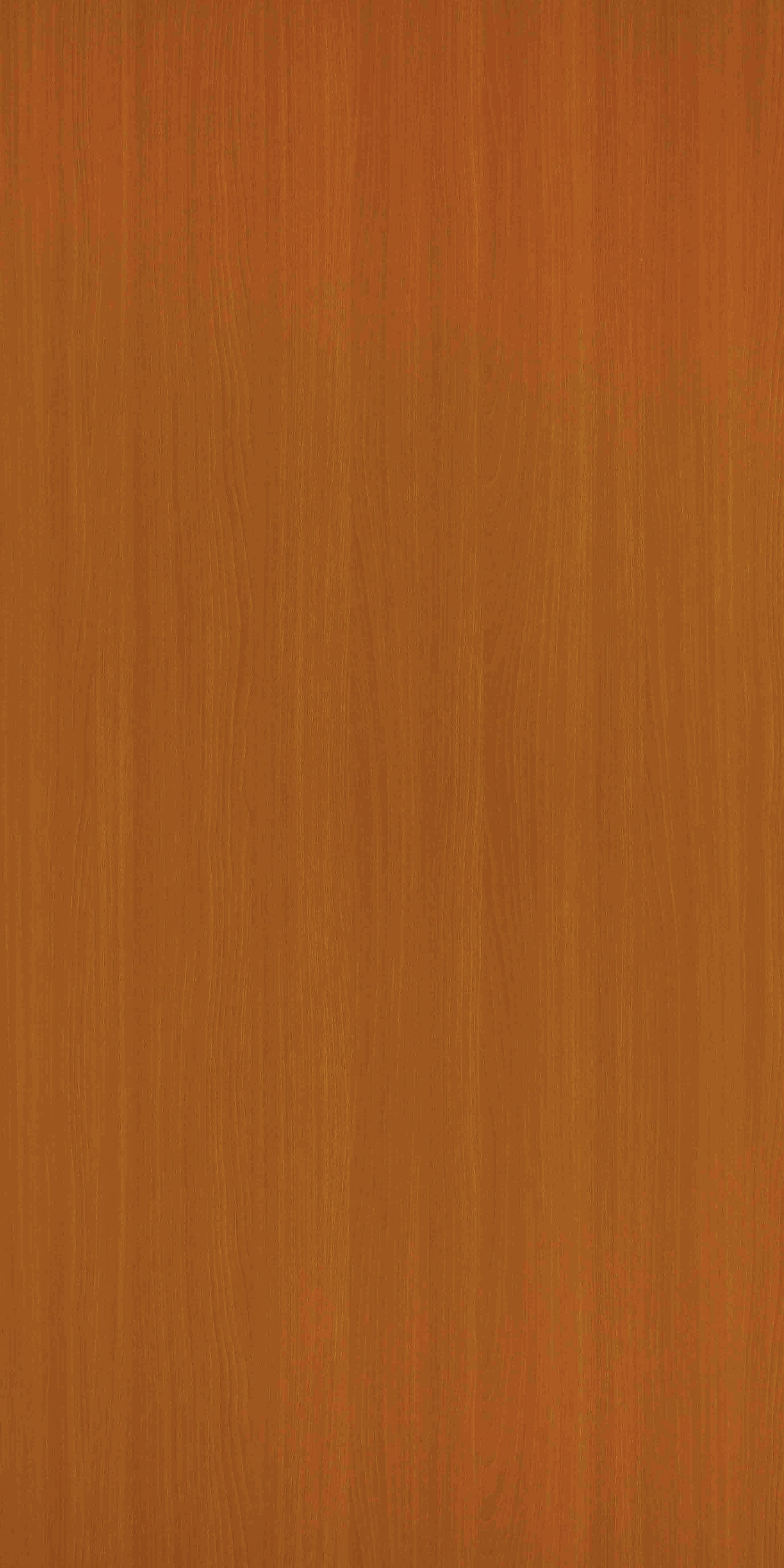 TH 301 H - Stripe Beech.jpg