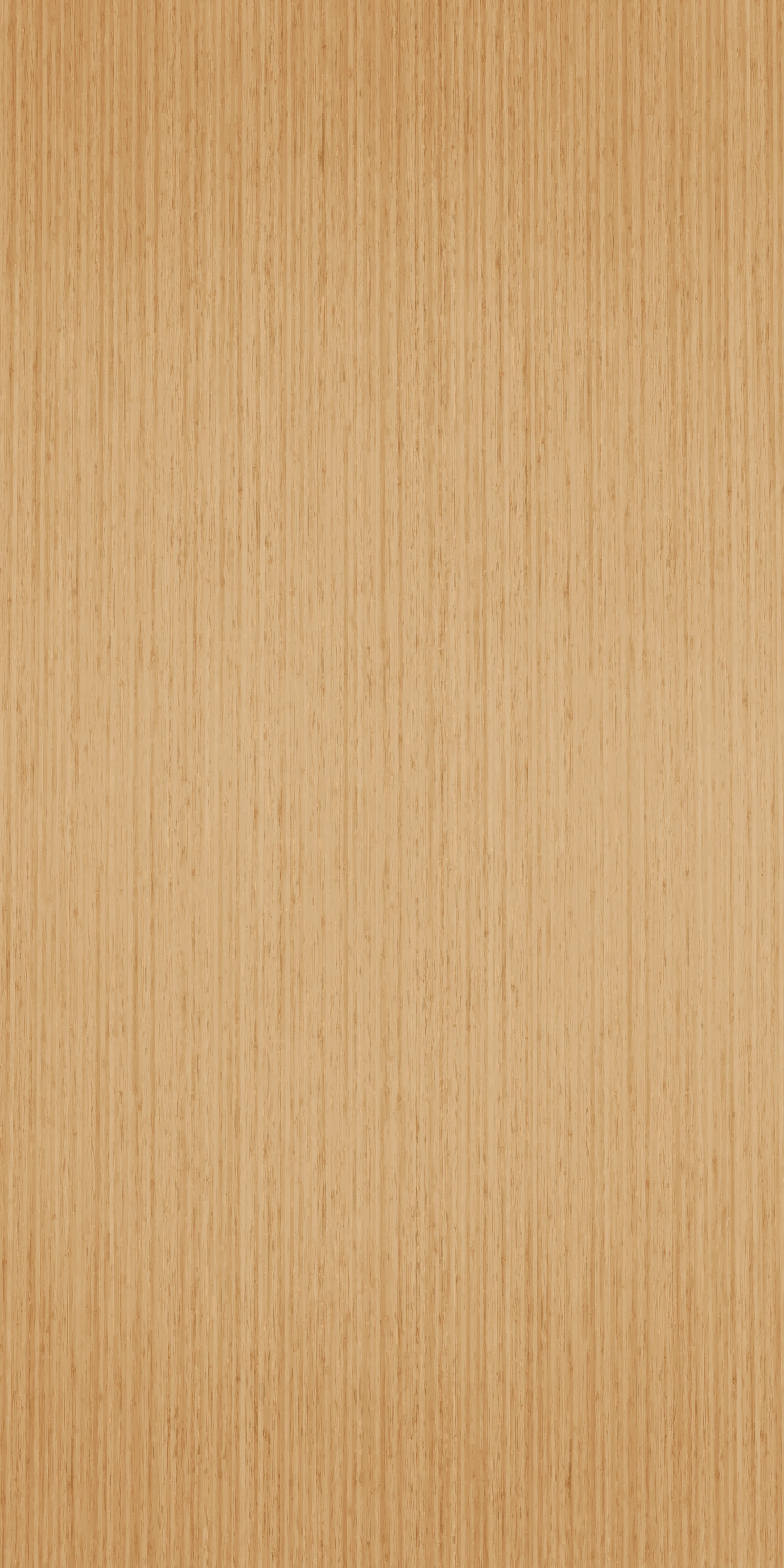 TH 308 H - Fine Bamboo.jpg