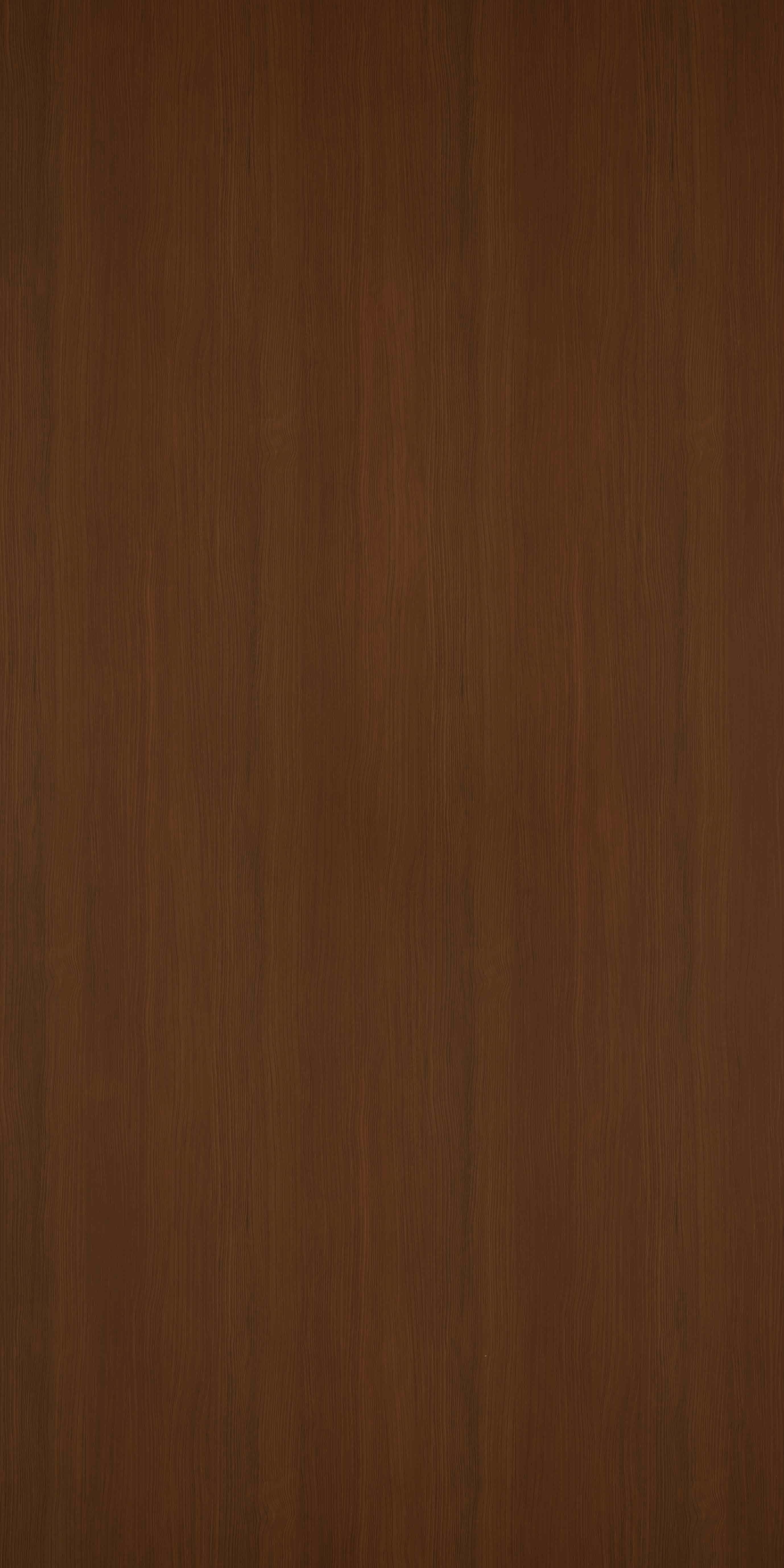 TH 366 H - Red Larch.jpg