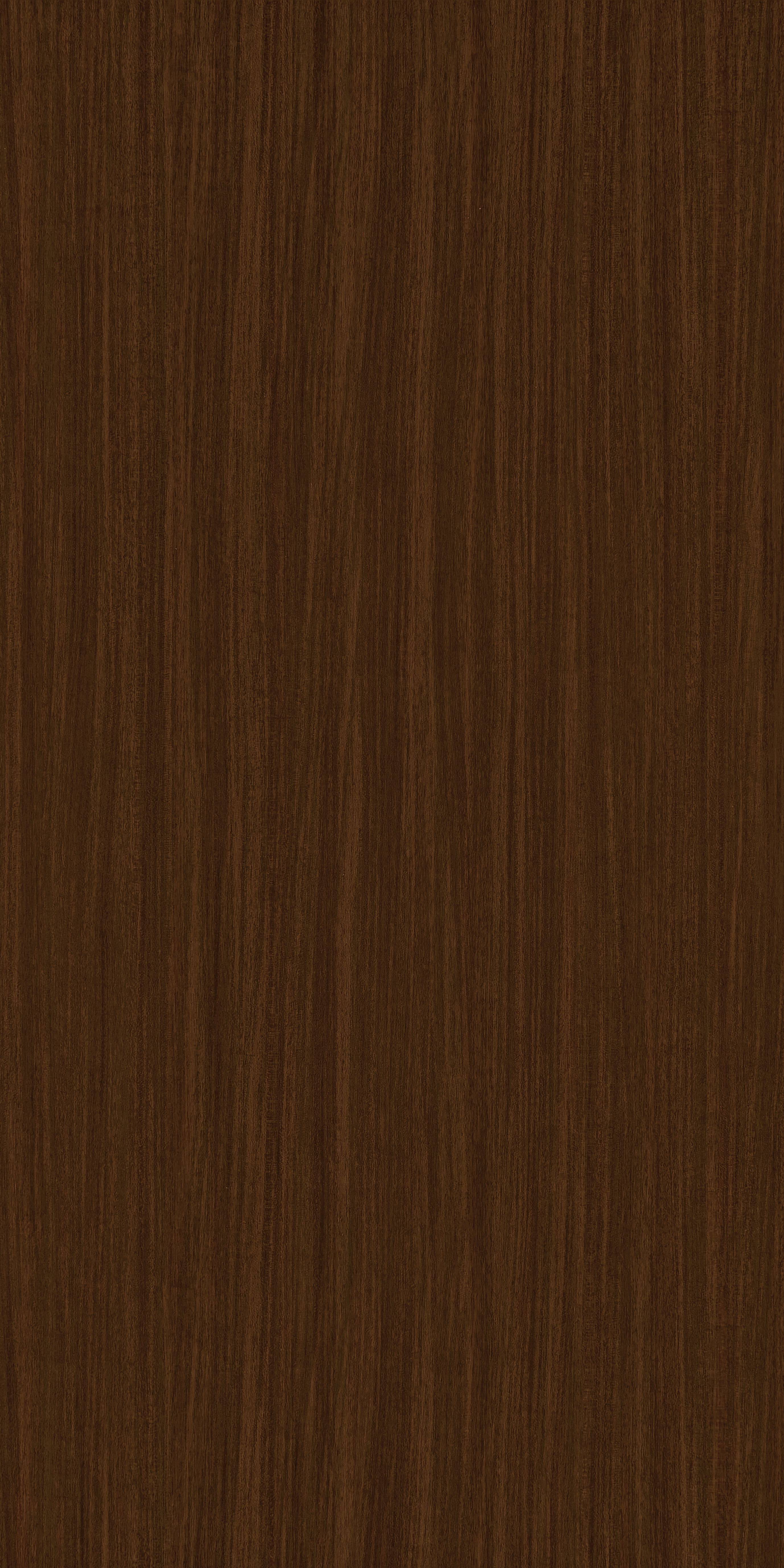 TH 375 H - Brown Sapelli Rev.jpg