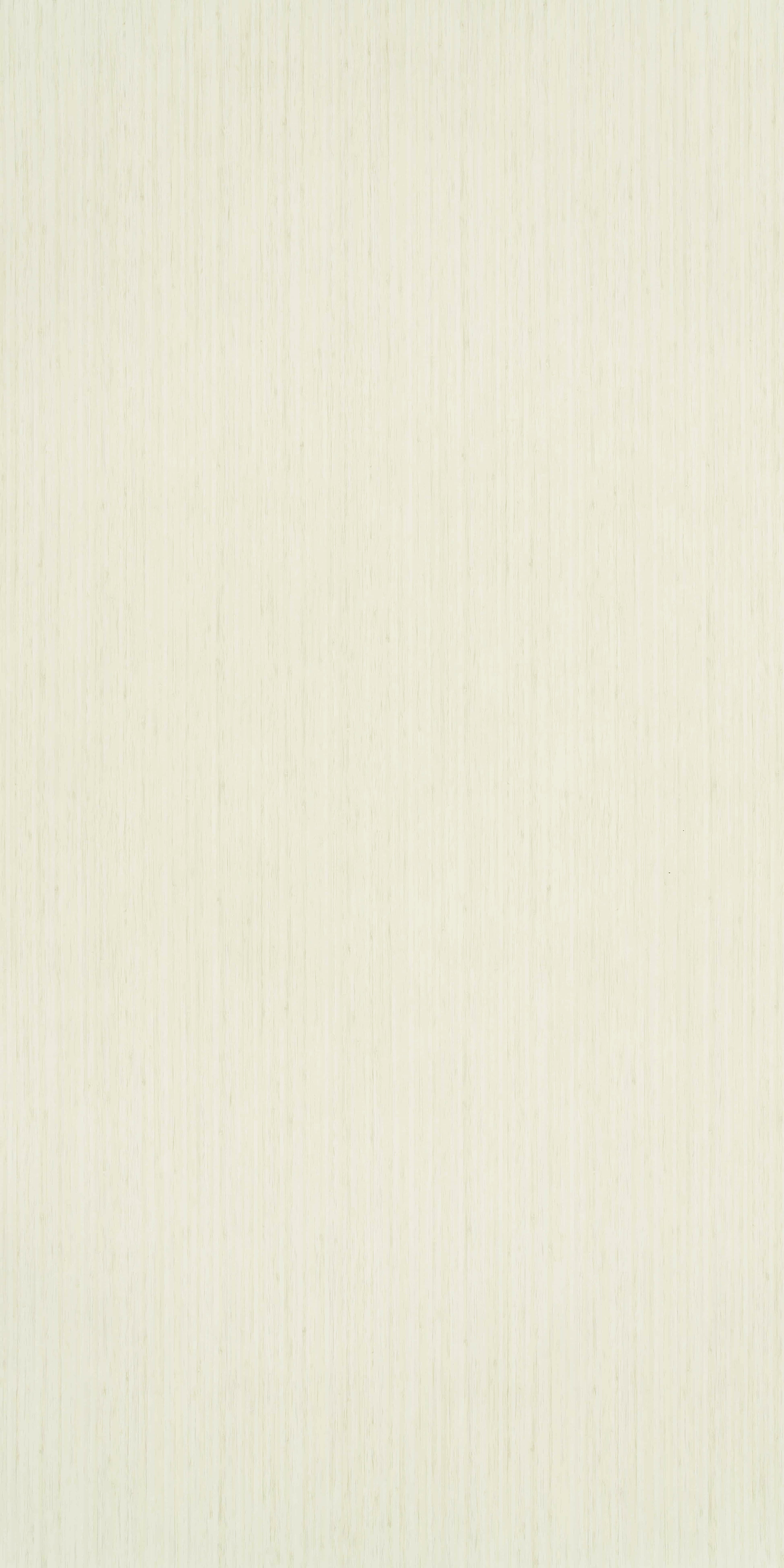 TH 381 H - Winter Bamboo (1).jpg