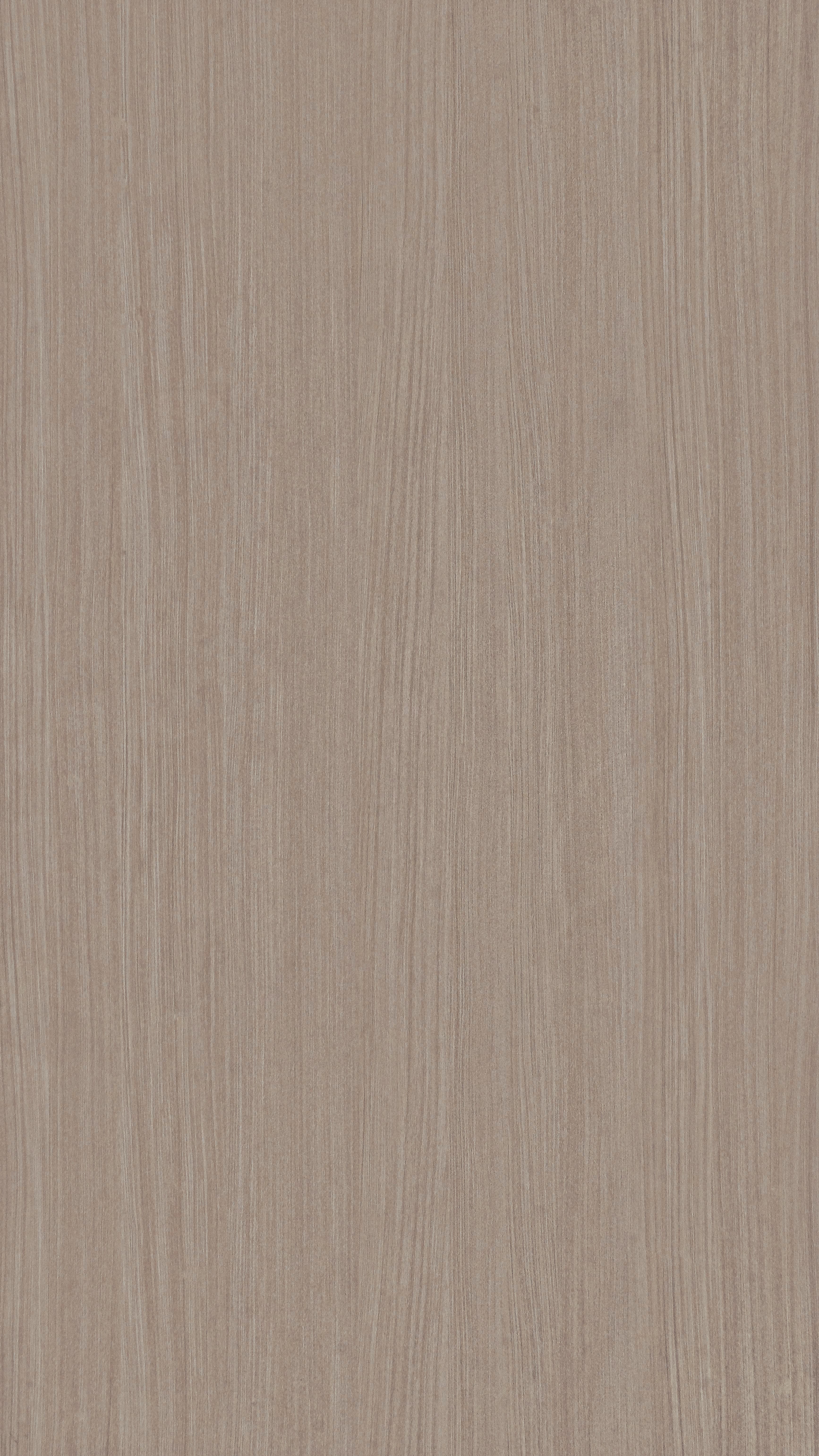 TH 5016 NT - Golden Timber (2).jpg