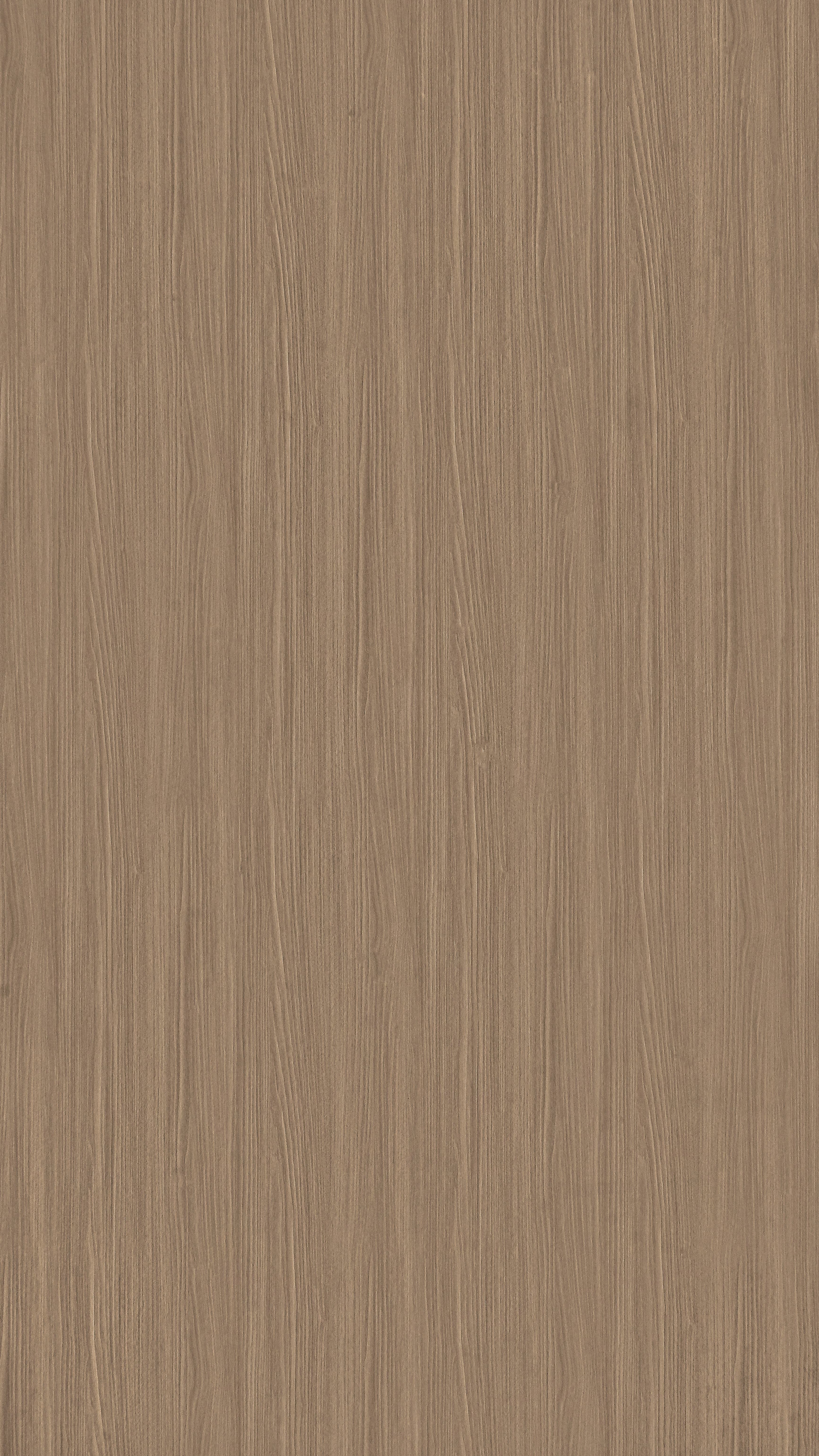 TH 5019 NT - Mink Walnut (2).jpg