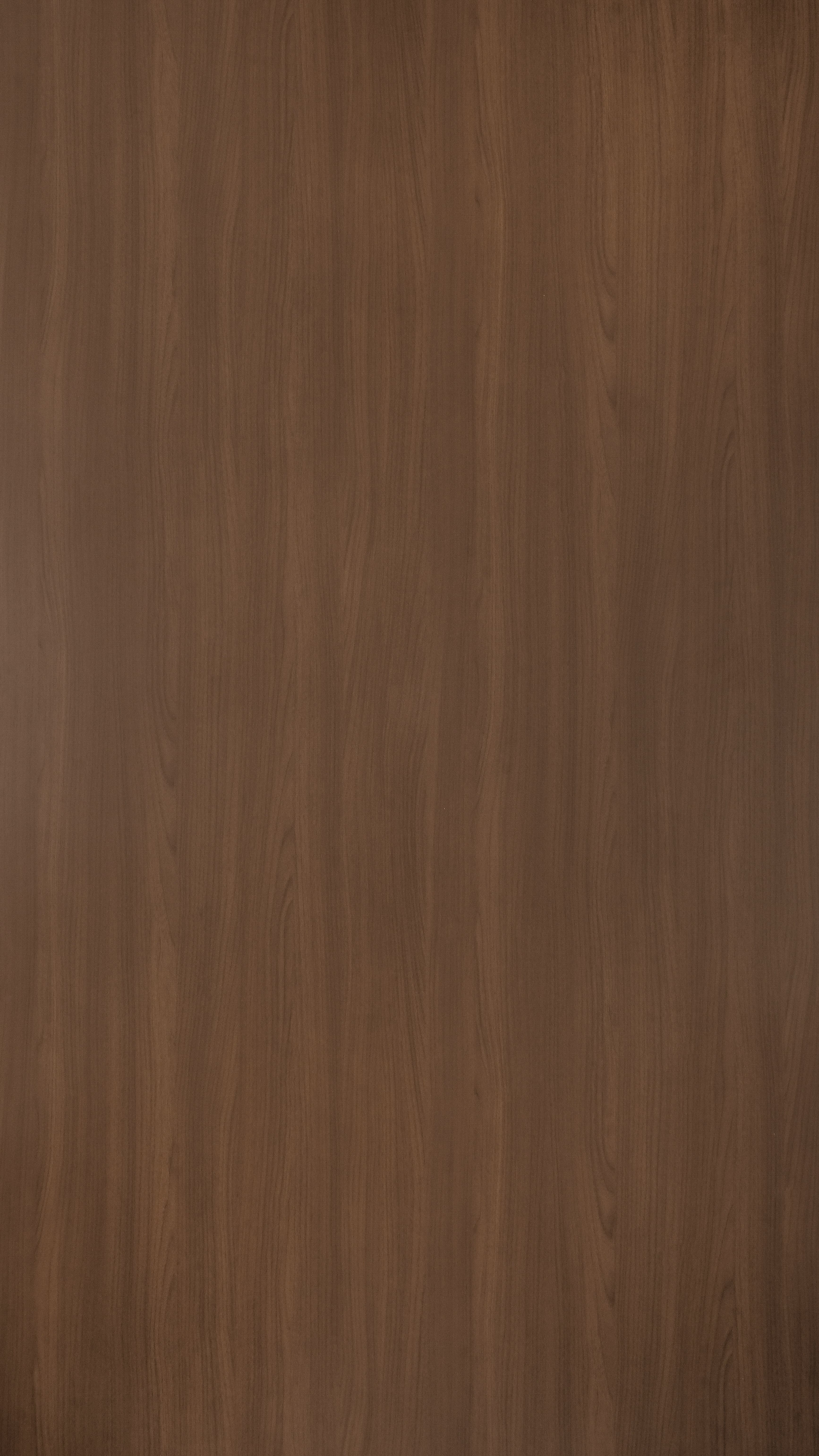 TH 5021 NT - Caramel Walnut New.jpg