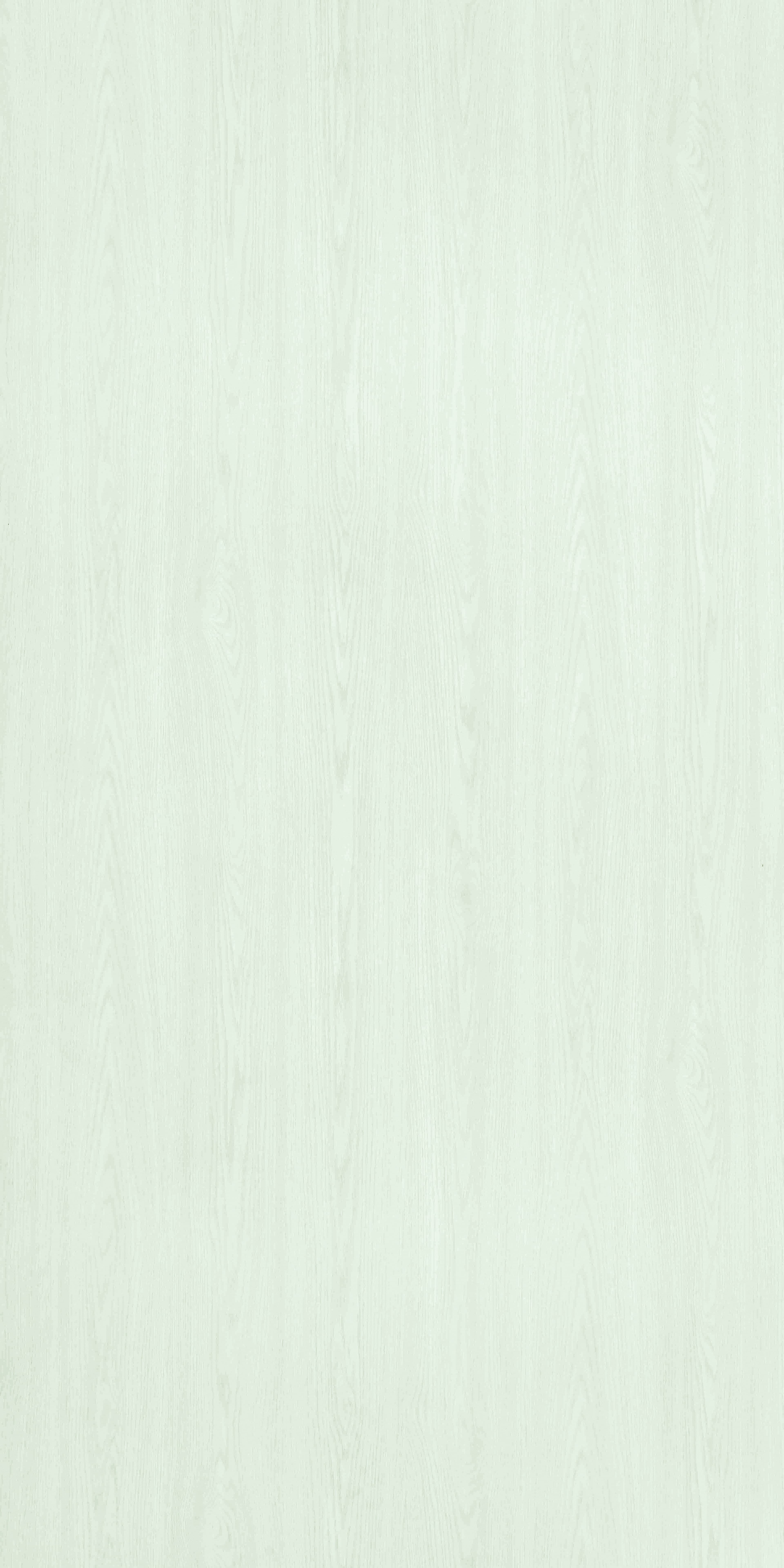 TH 853 J - Innocent Oak (1).jpg