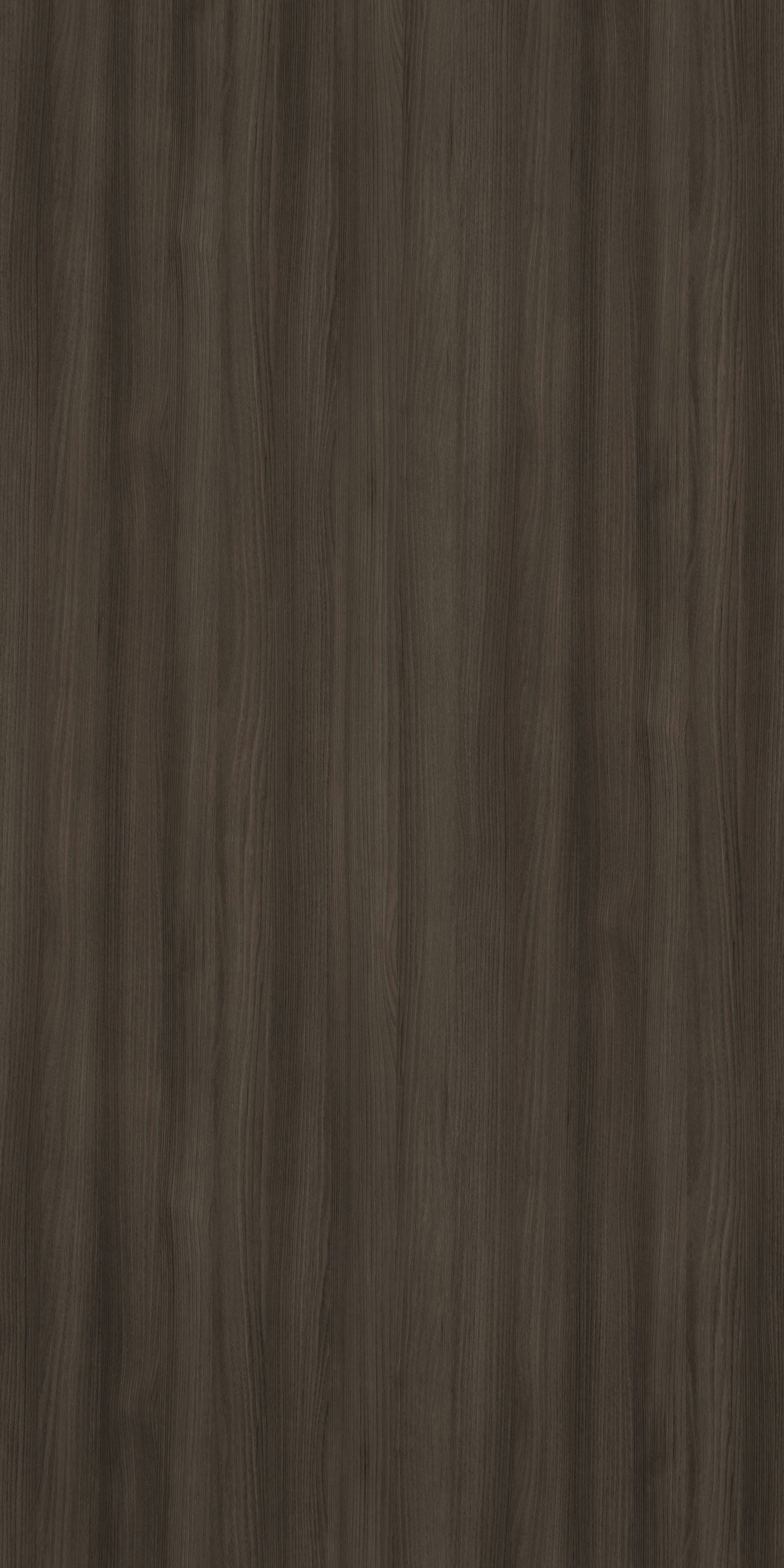TI X0096DM - Celtic Elm.jpg