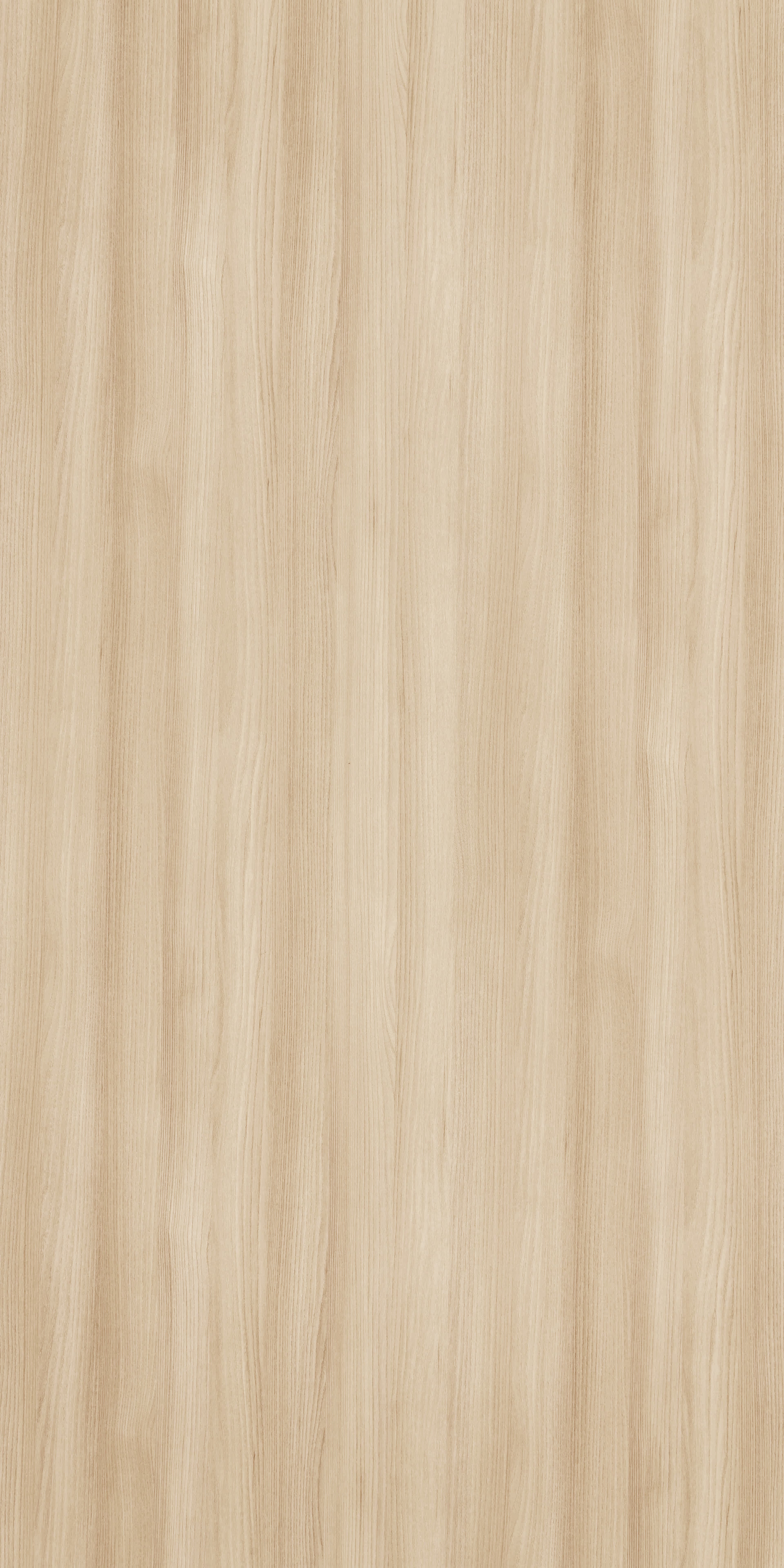 TI X 0095 DM - Japanese Elm New.jpg
