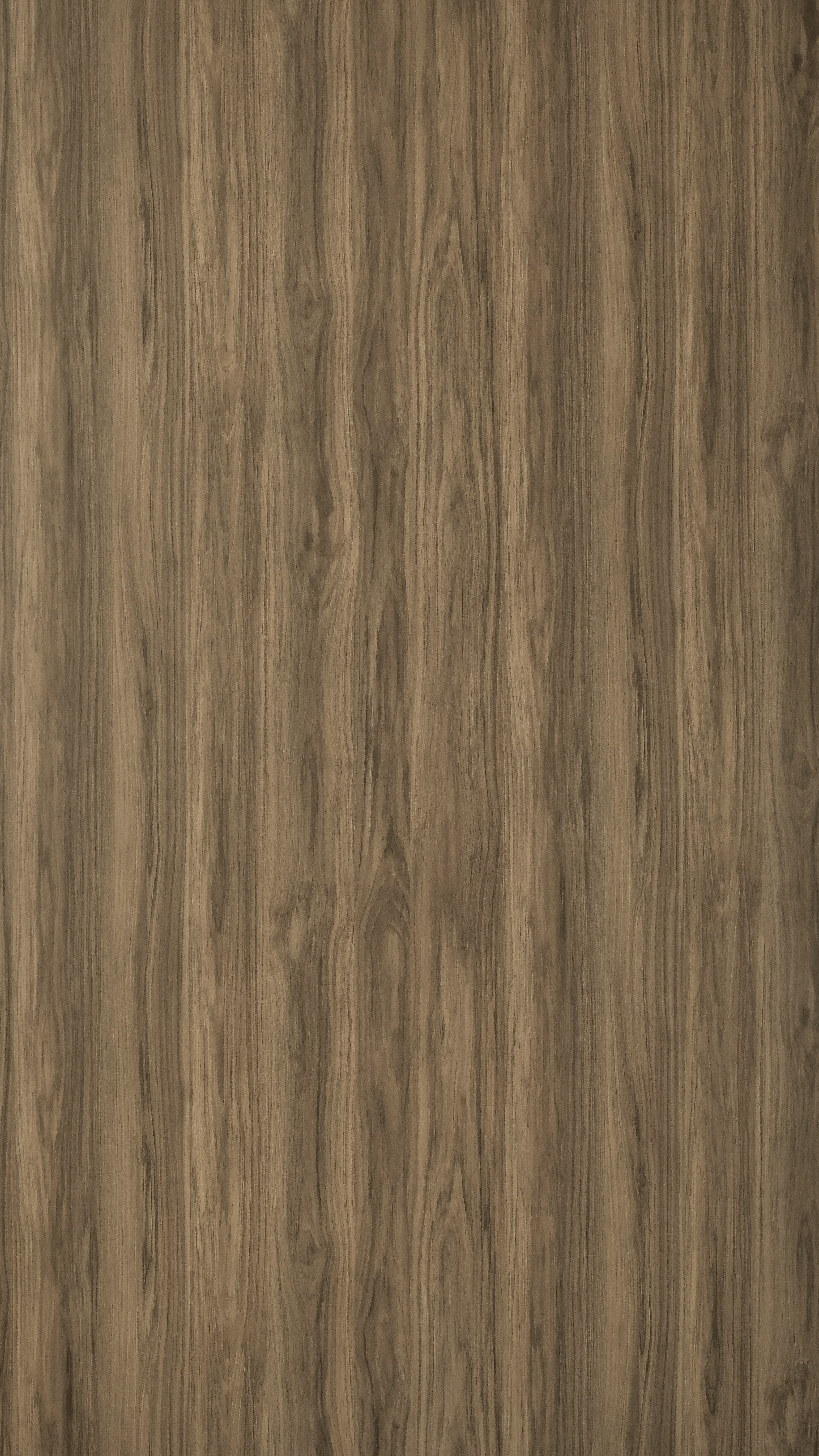TI X 0126 VC - Manhattan Hickory.jpg
