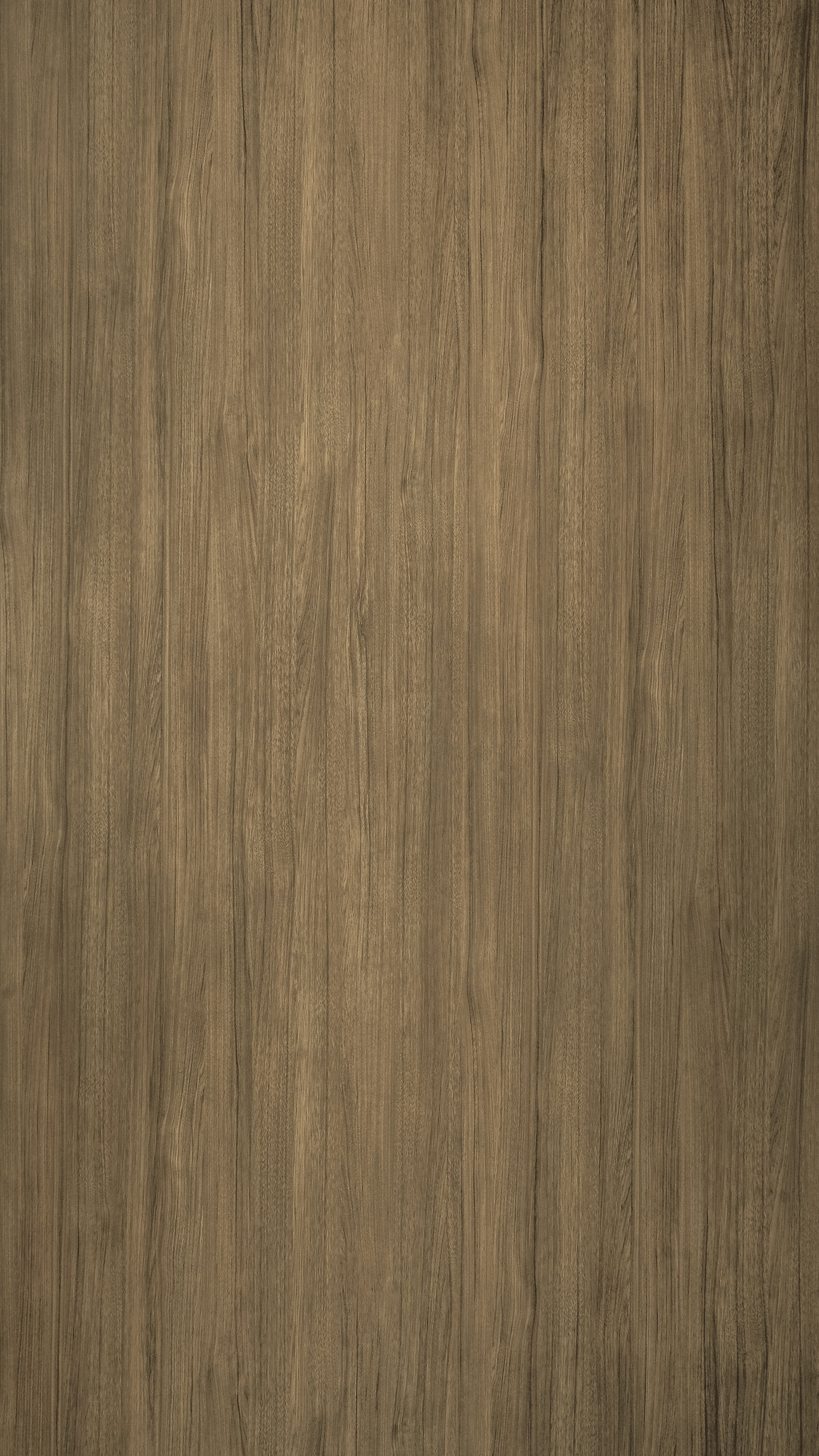 TI X 0127 VA - Hickory Toffee.jpg