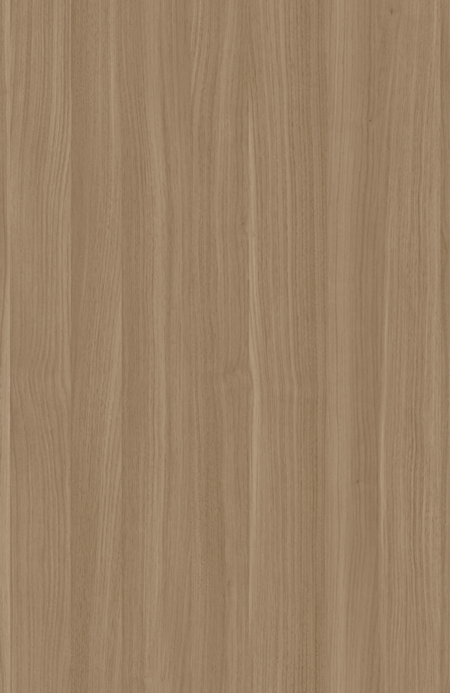 Savanna Oak