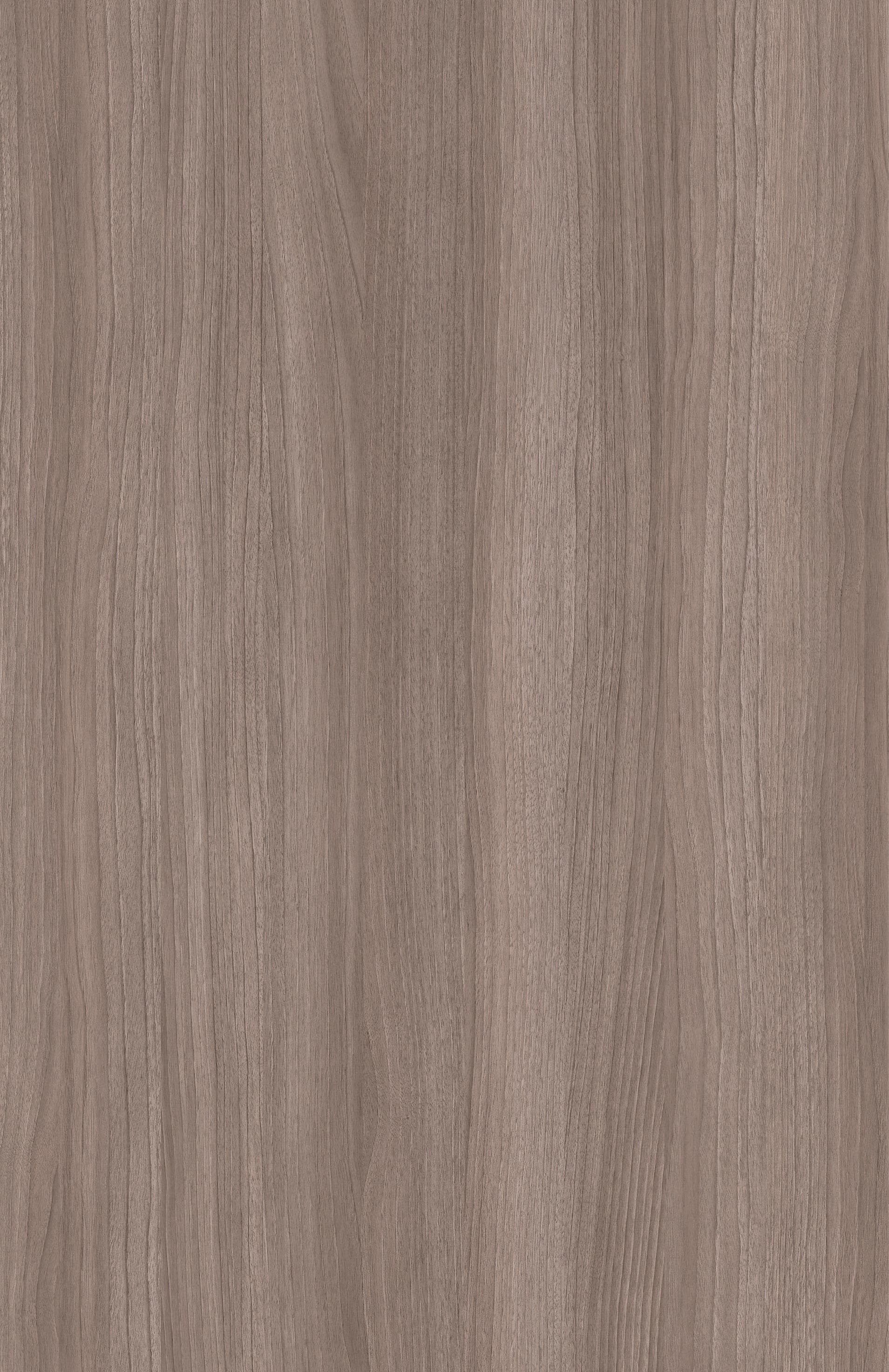 Folk Walnut