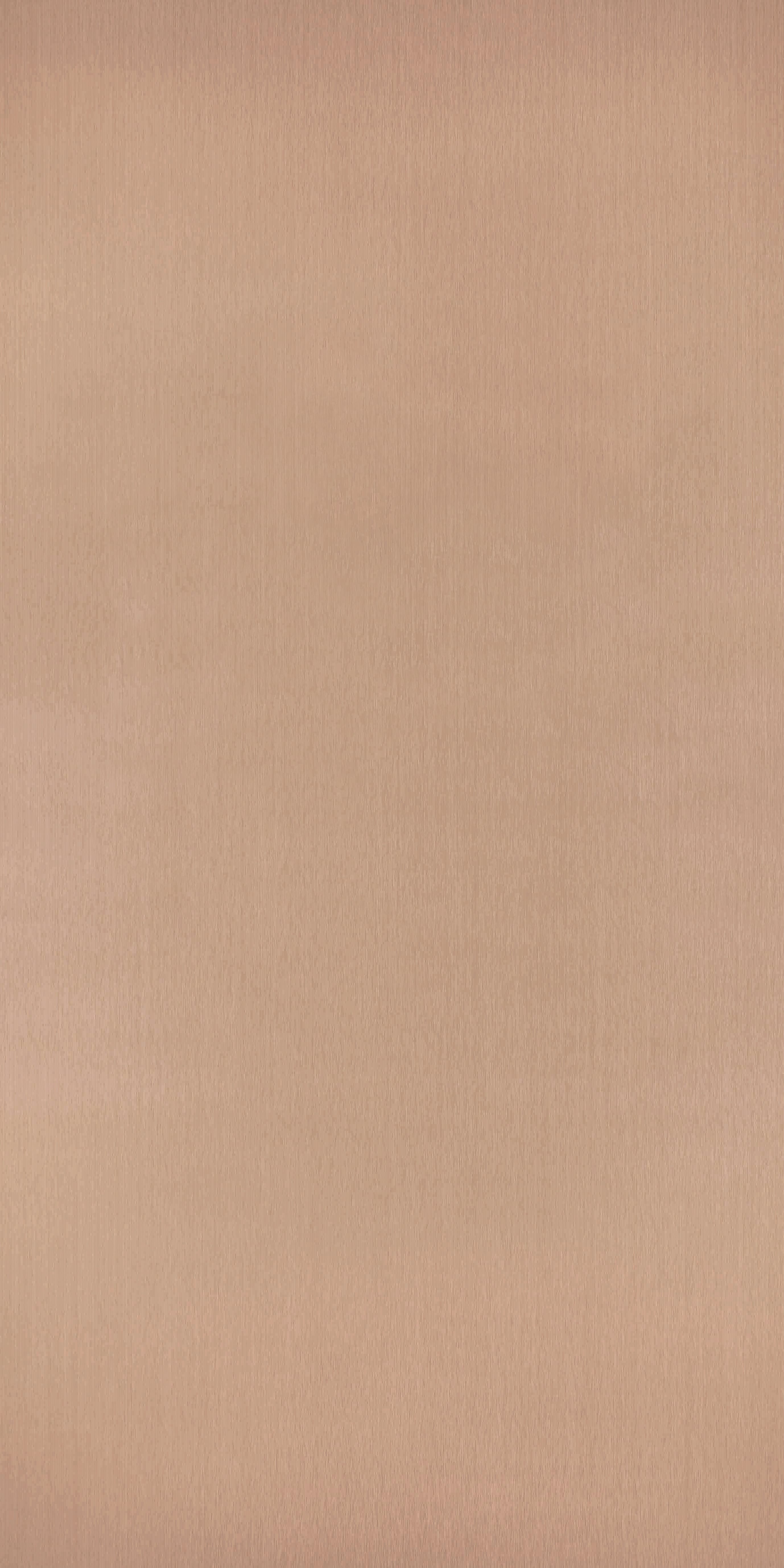 TI Y 8001 ME - Copper Brush Full New.jpg
