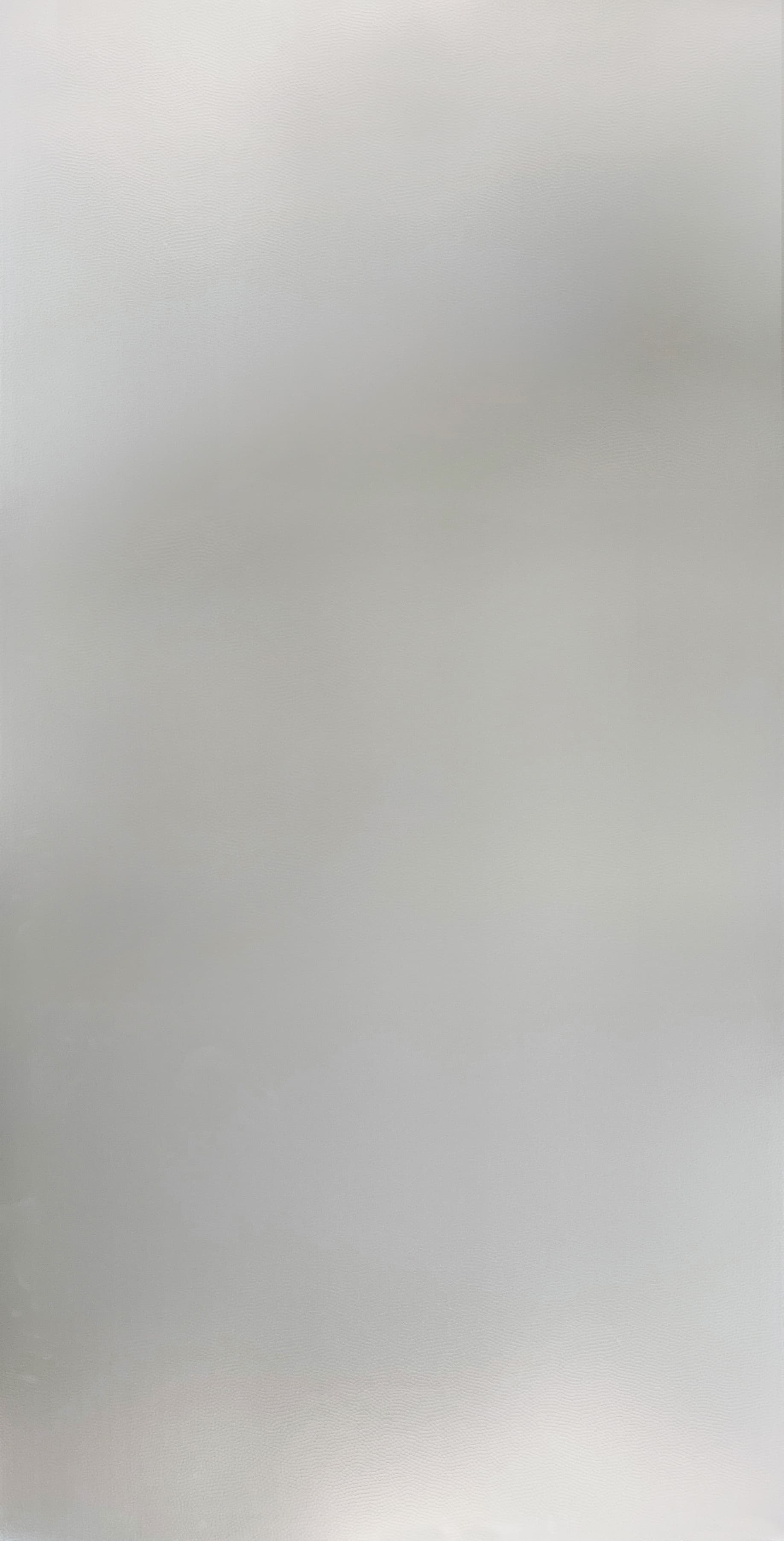 TI Y 8009 MB - Silver Bergo full New.jpg