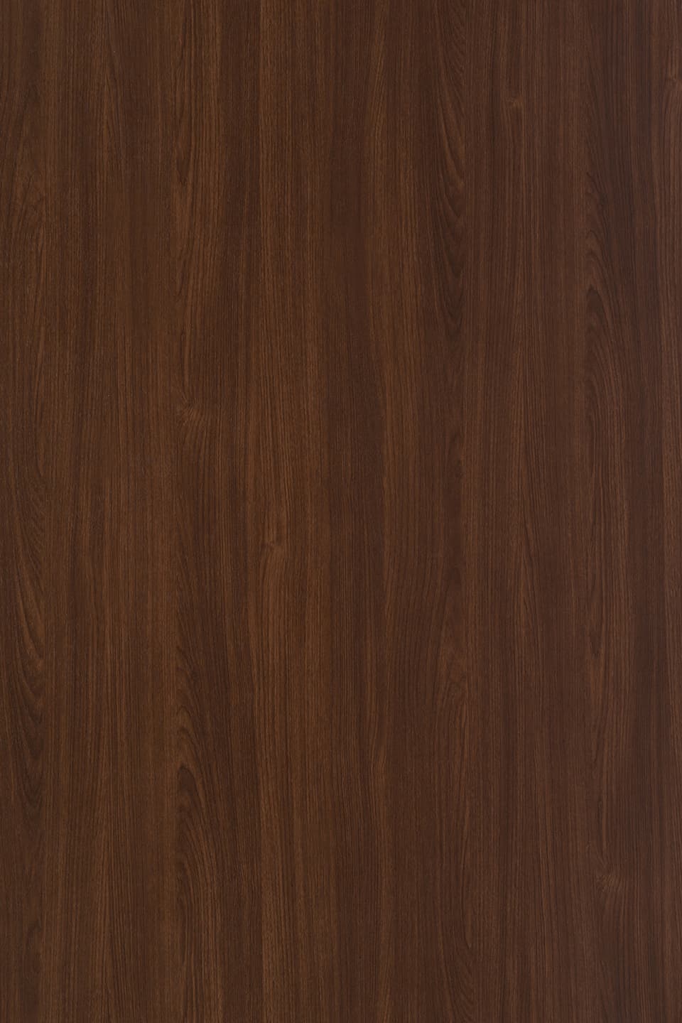 TS 1908 2 - Close Up.jpg