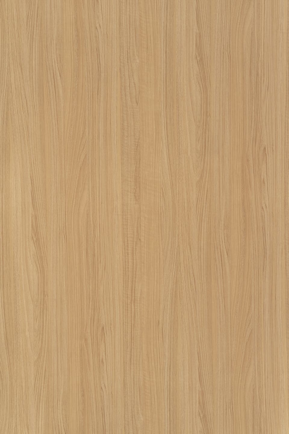 TS 4288.jpg