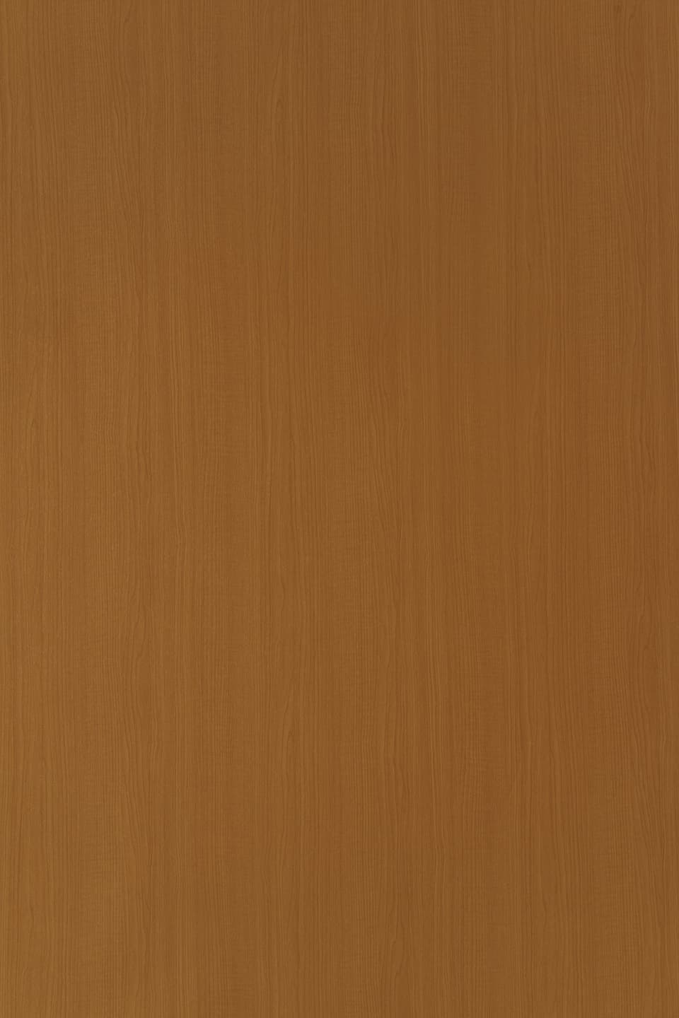 TS 725.jpg