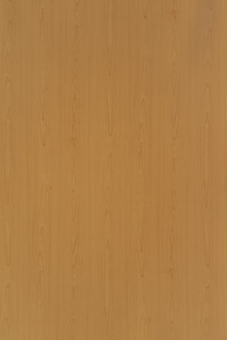 TS 745.jpg