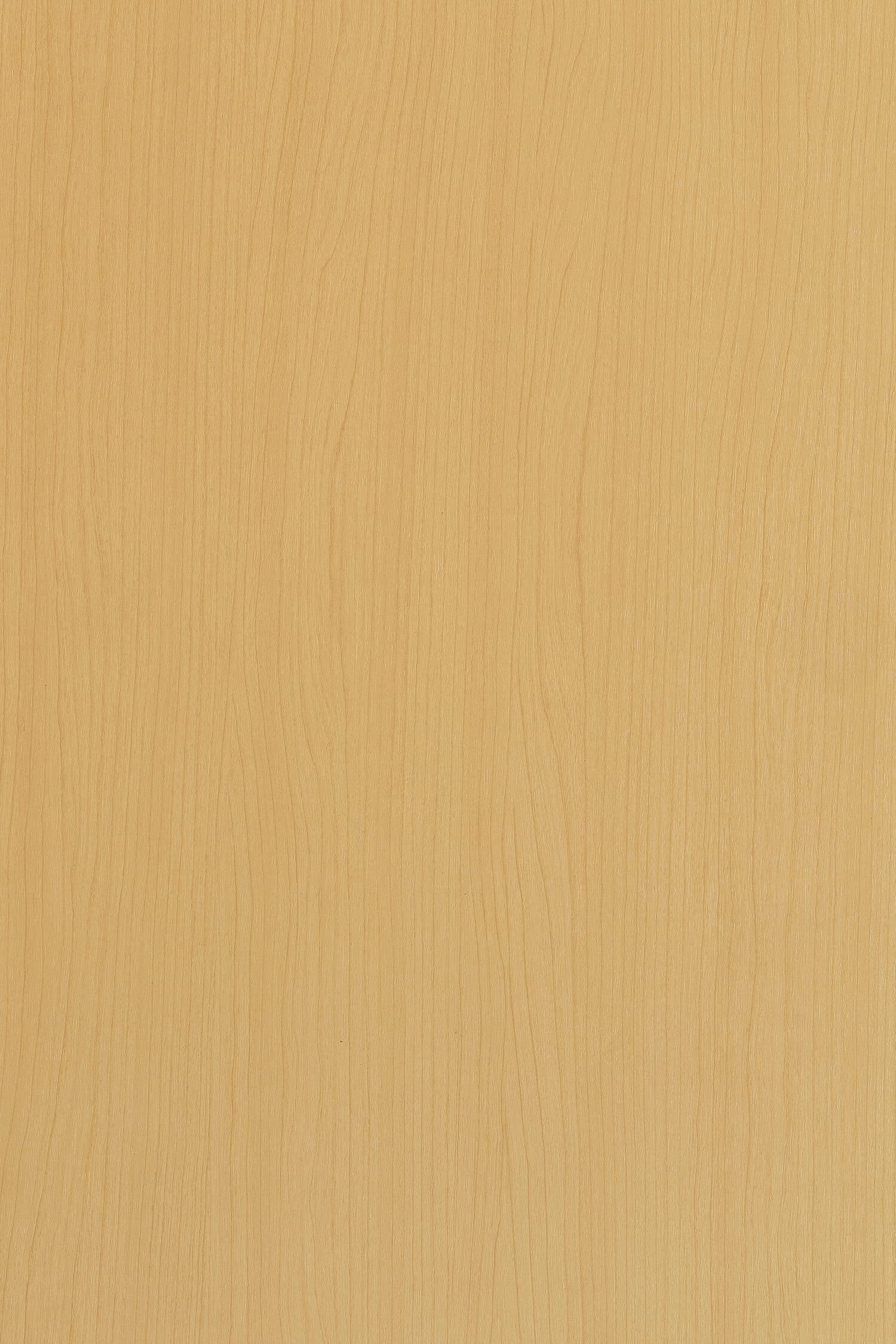 TS D518 - Close Up.jpg