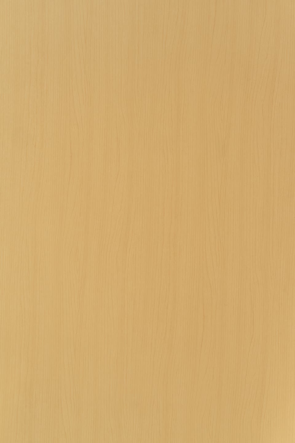 TS D518.jpg
