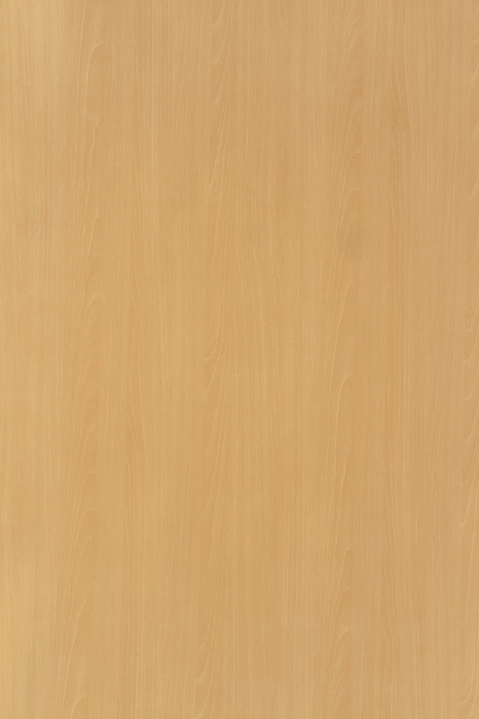 TS E723.jpg