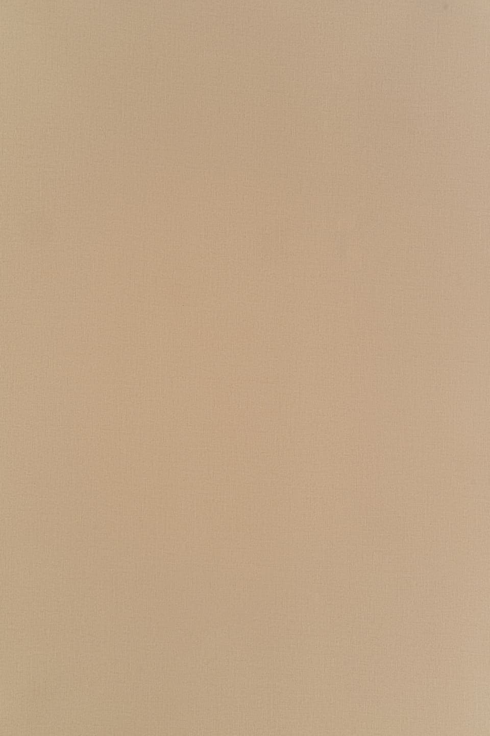 TS P210.jpg