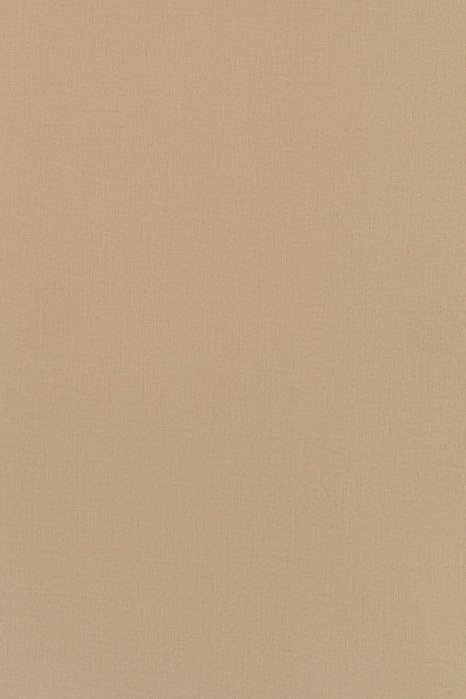 TS P210 - Close Up.jpg