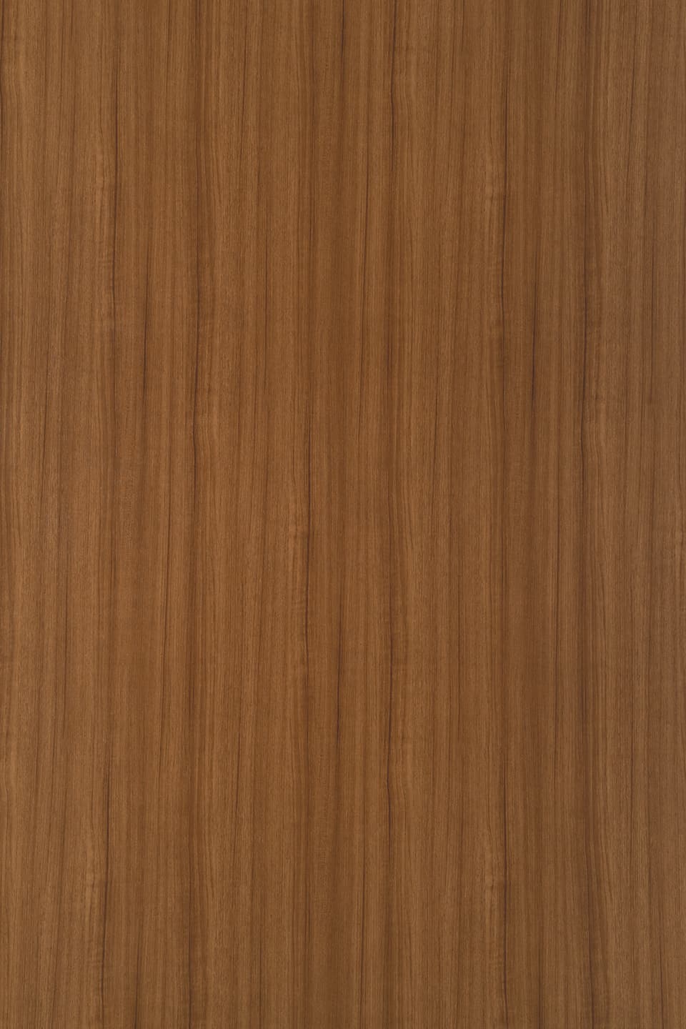 TS R1002.jpg