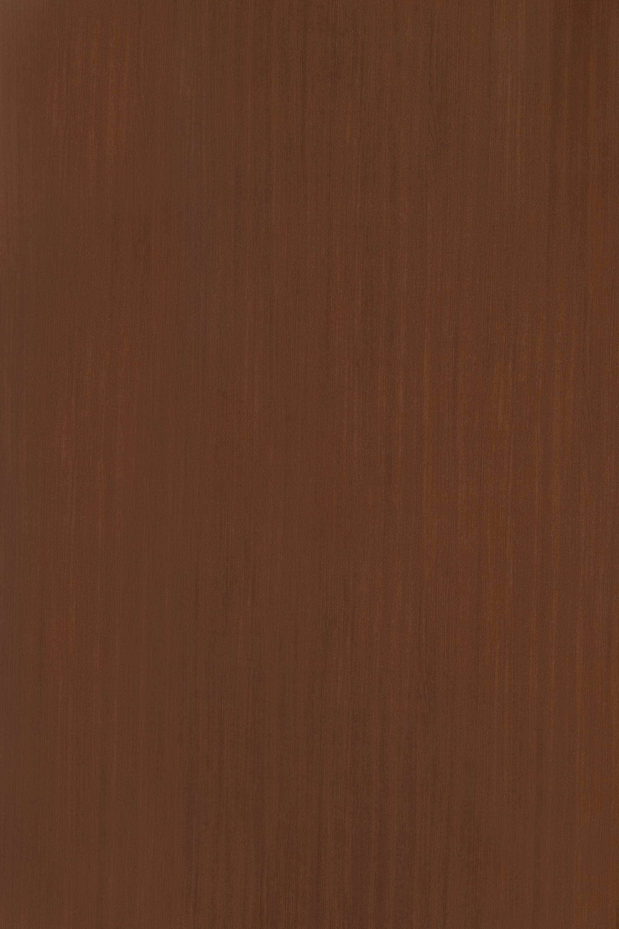 TS R898.jpg