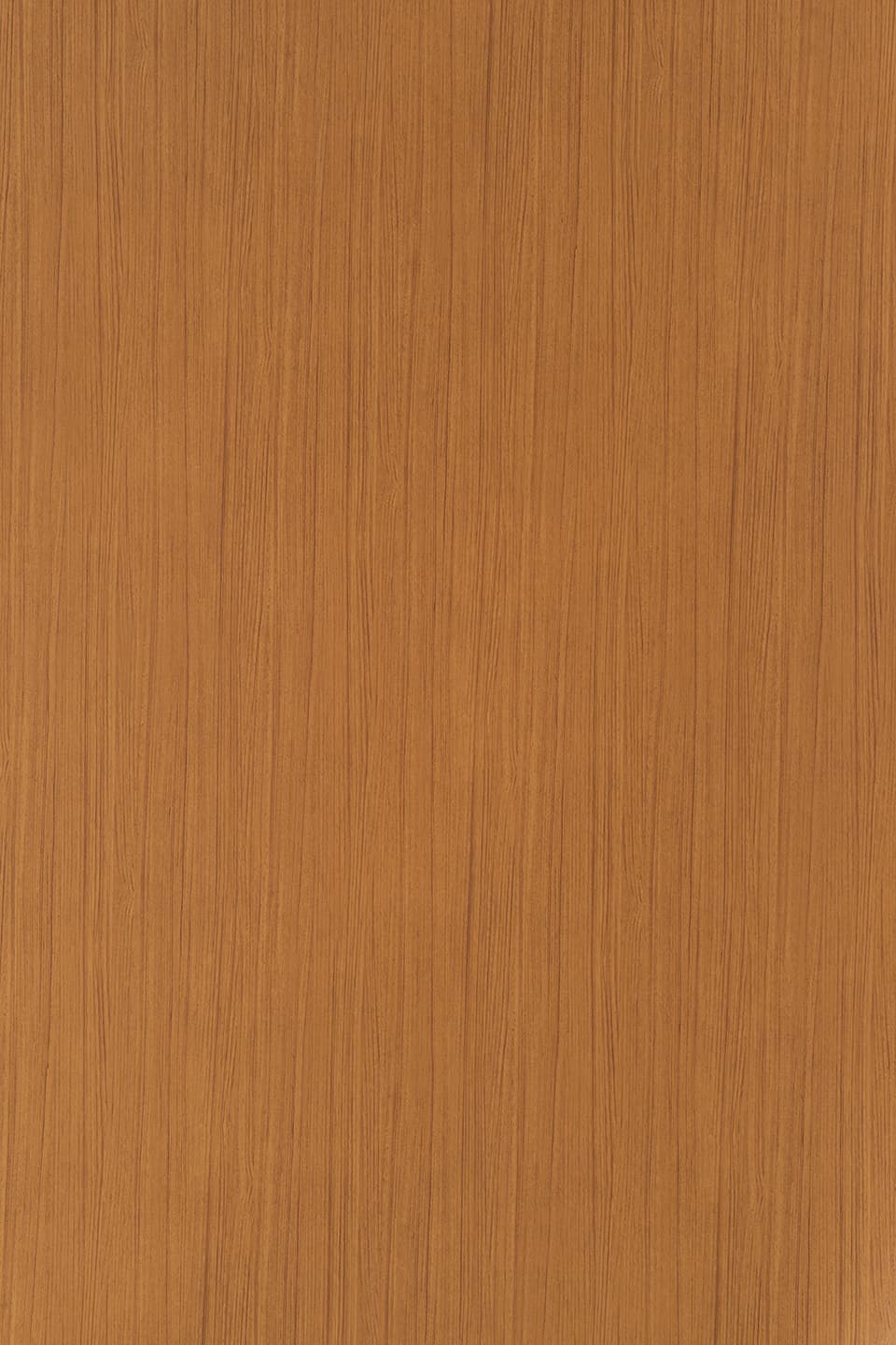 TS T200.jpg