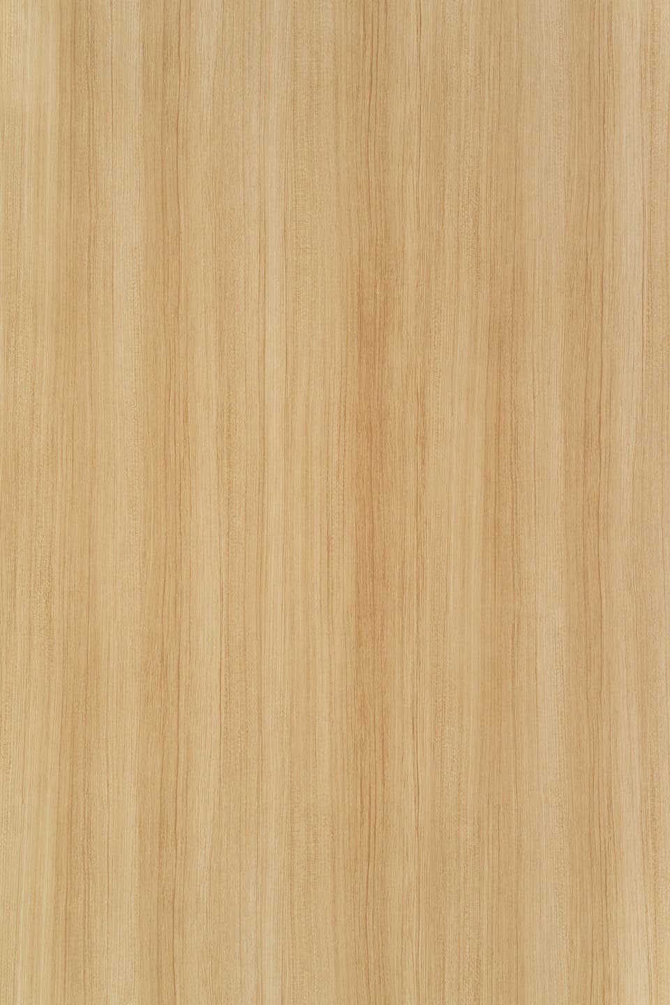 TS T359.jpg