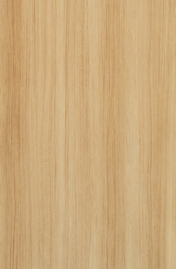 TS T359 - Close Up.jpg