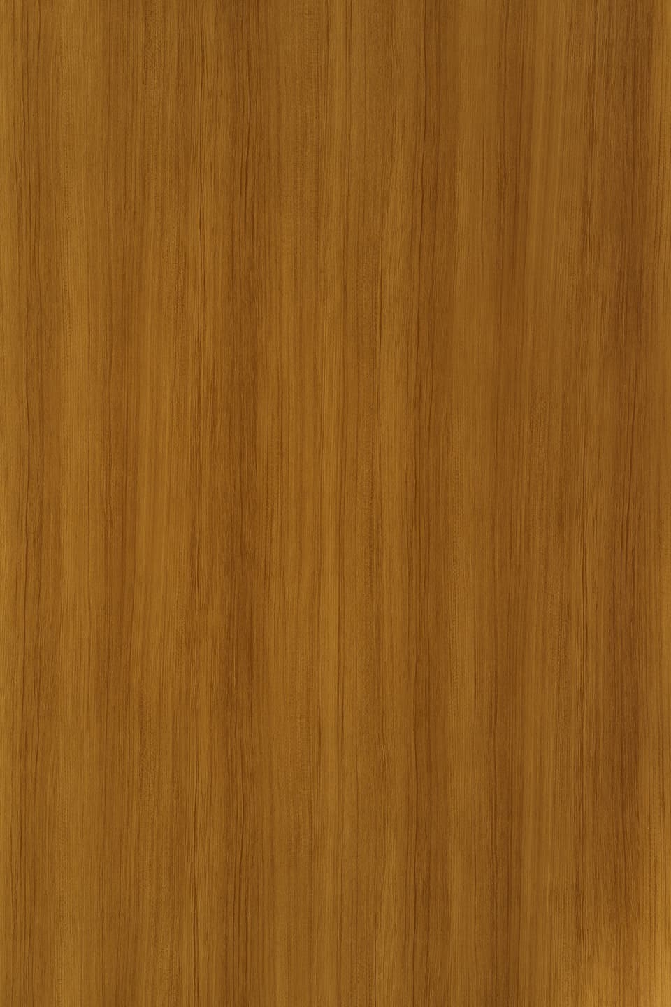 TS T508.jpg