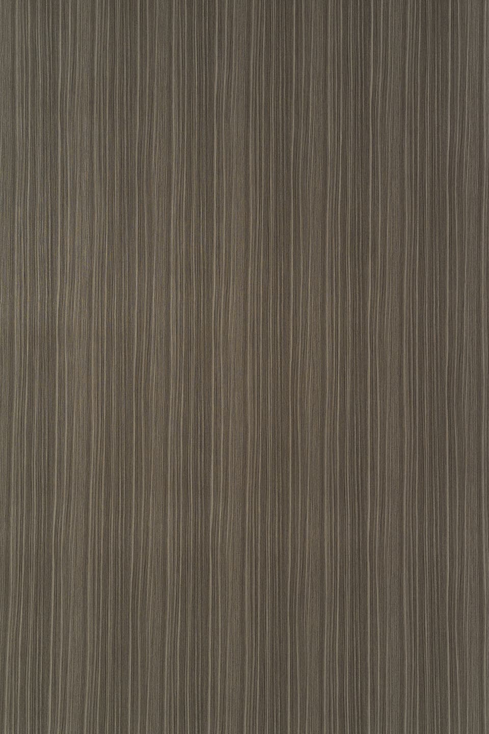 TS W019.jpg