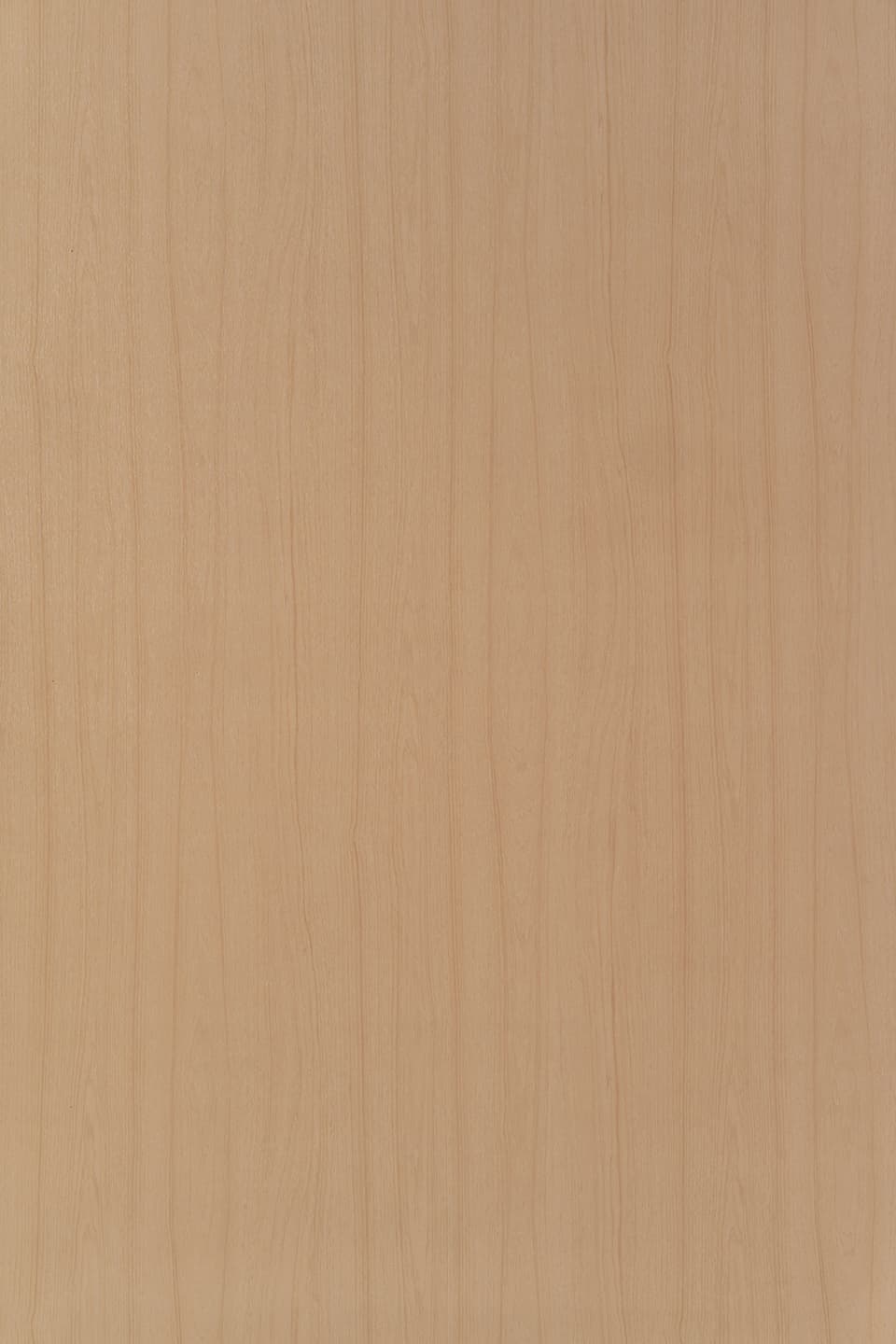 TS W310.jpg