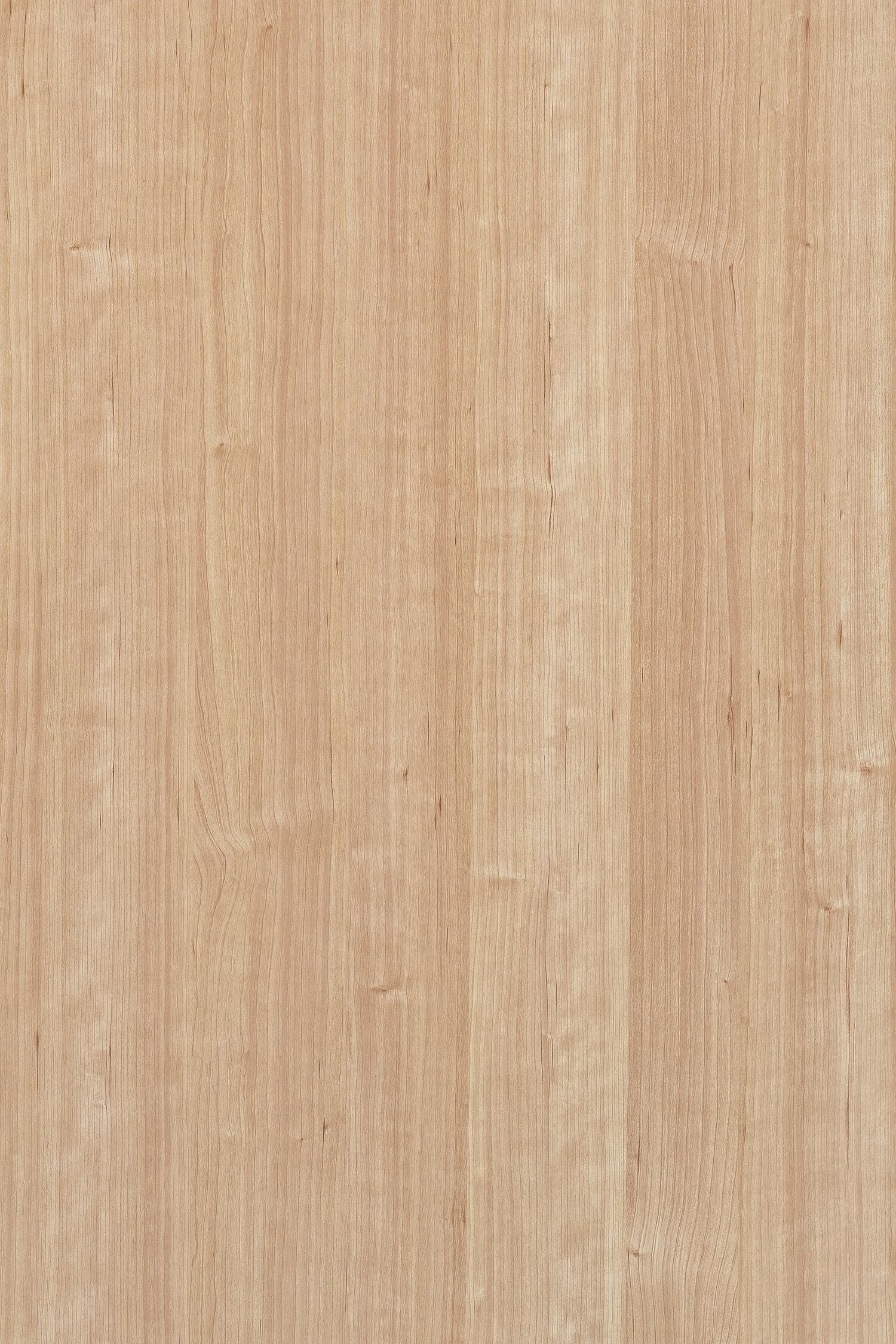 TS W313 - Close Up.jpg