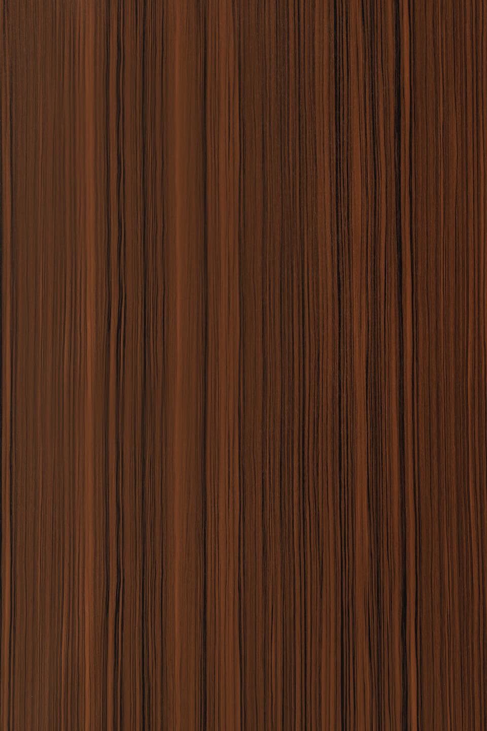 TS W331.jpg
