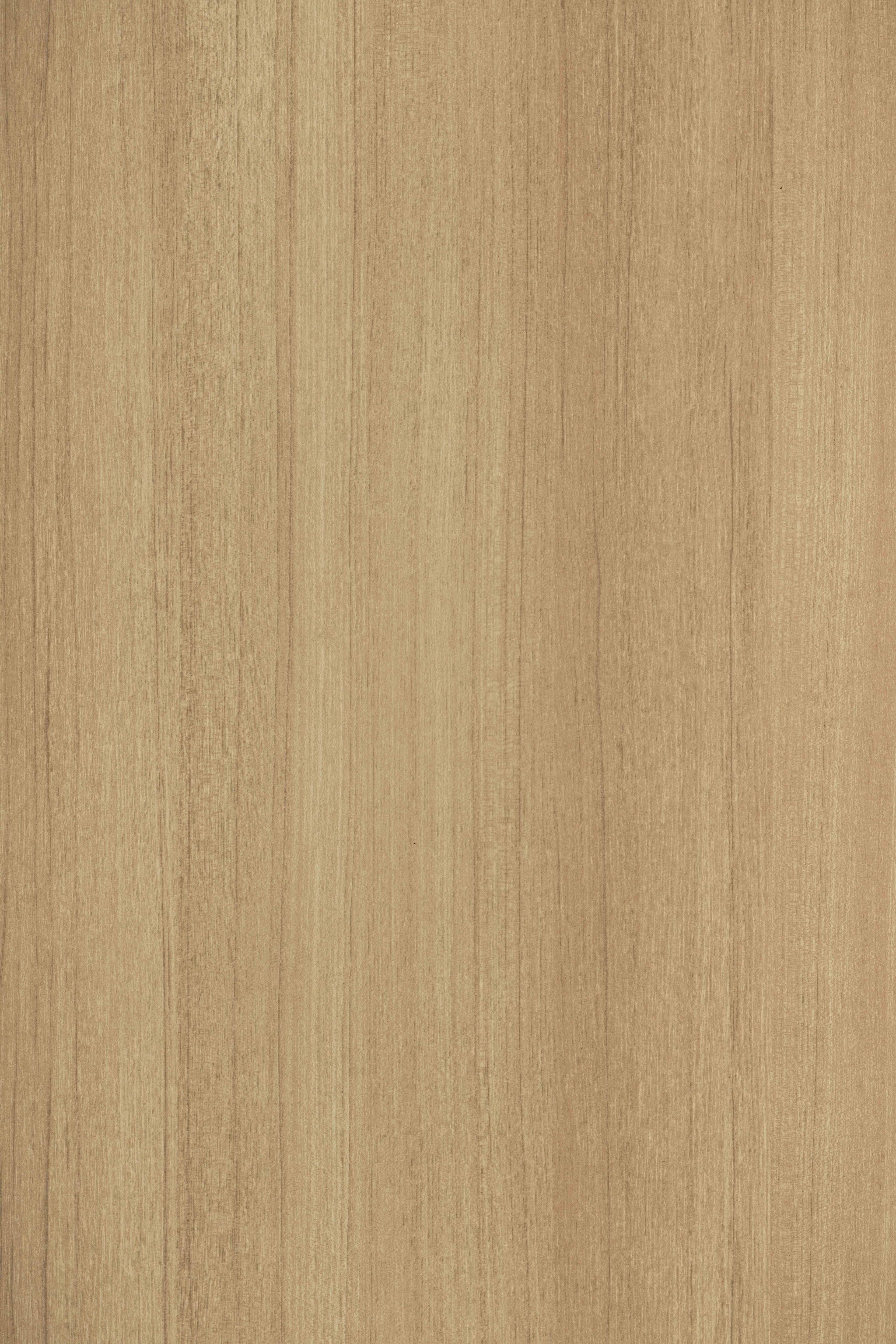 X0050CM_zoom.jpg