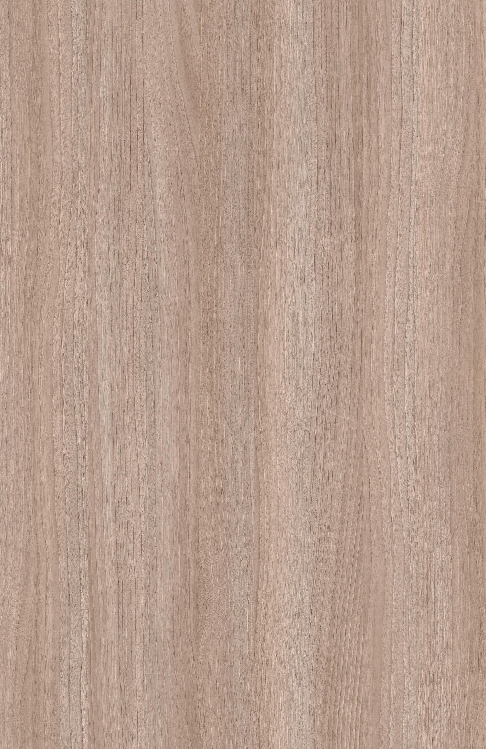 Folk Walnut